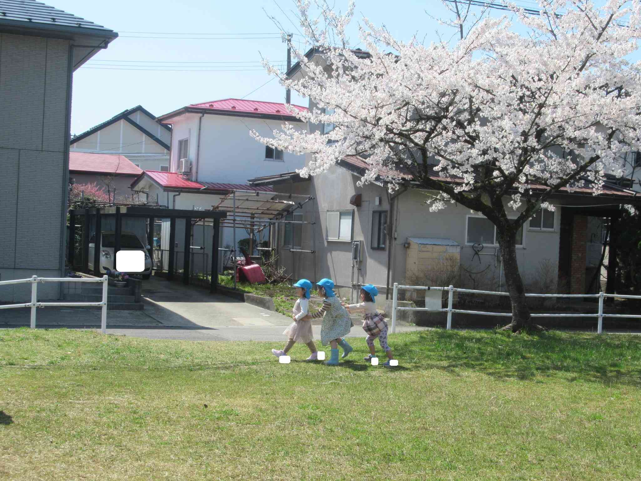 桜満開②(3.4.5歳児)