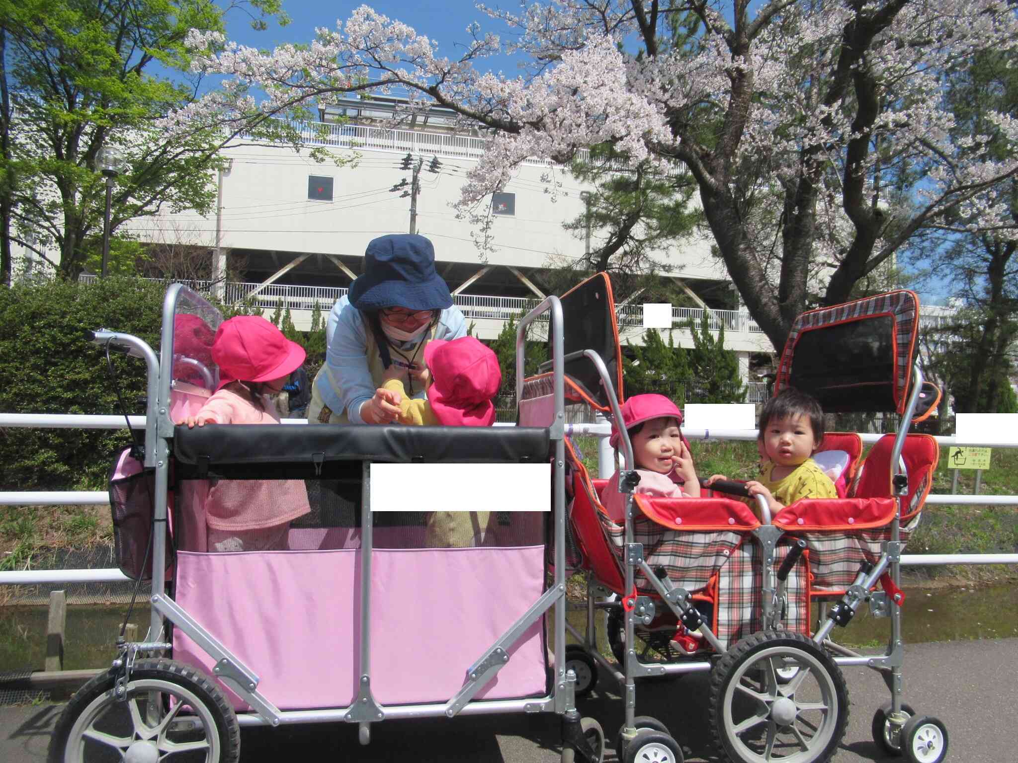 お花より先生…大好き
