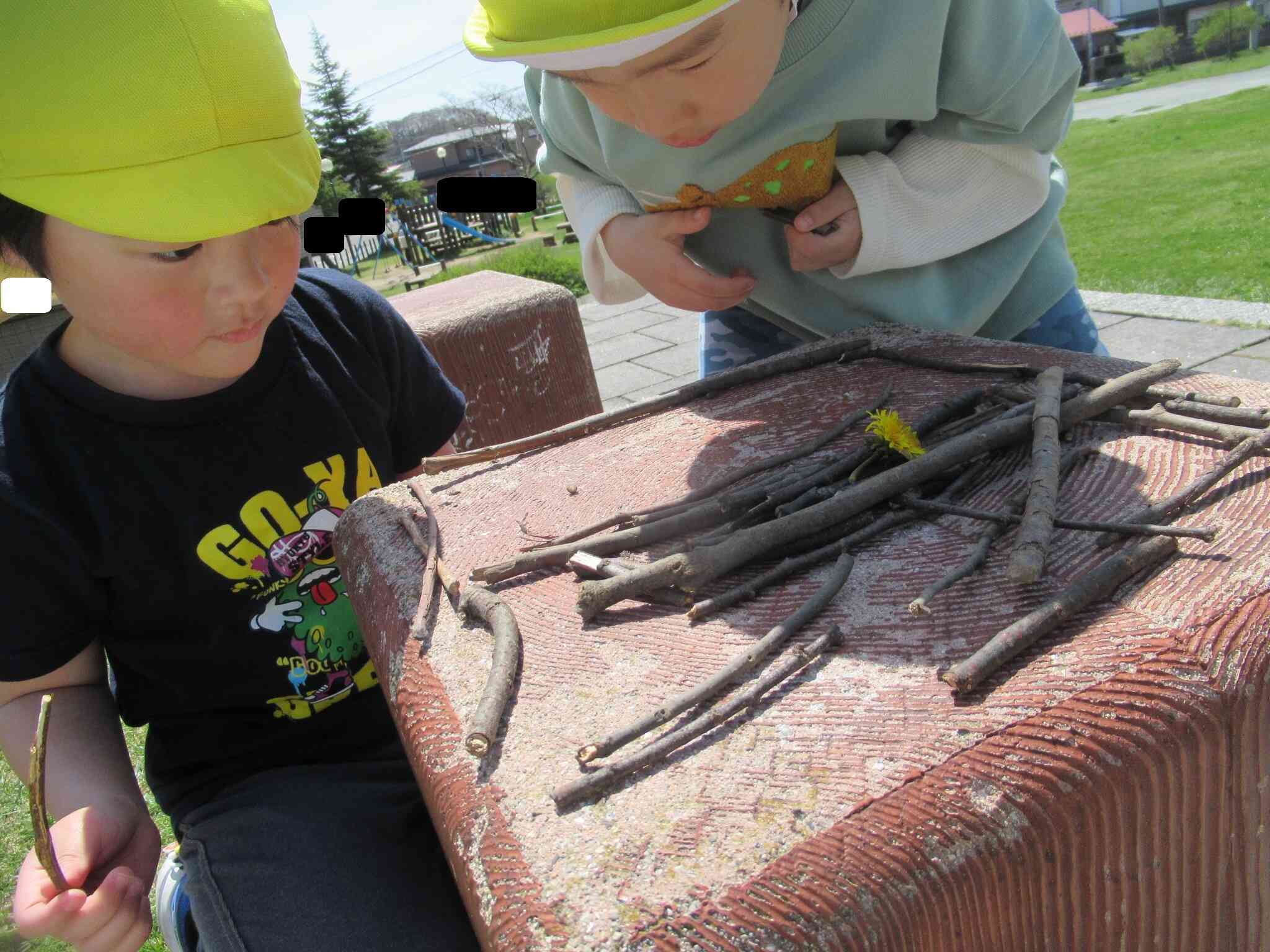 虫のお家を作る