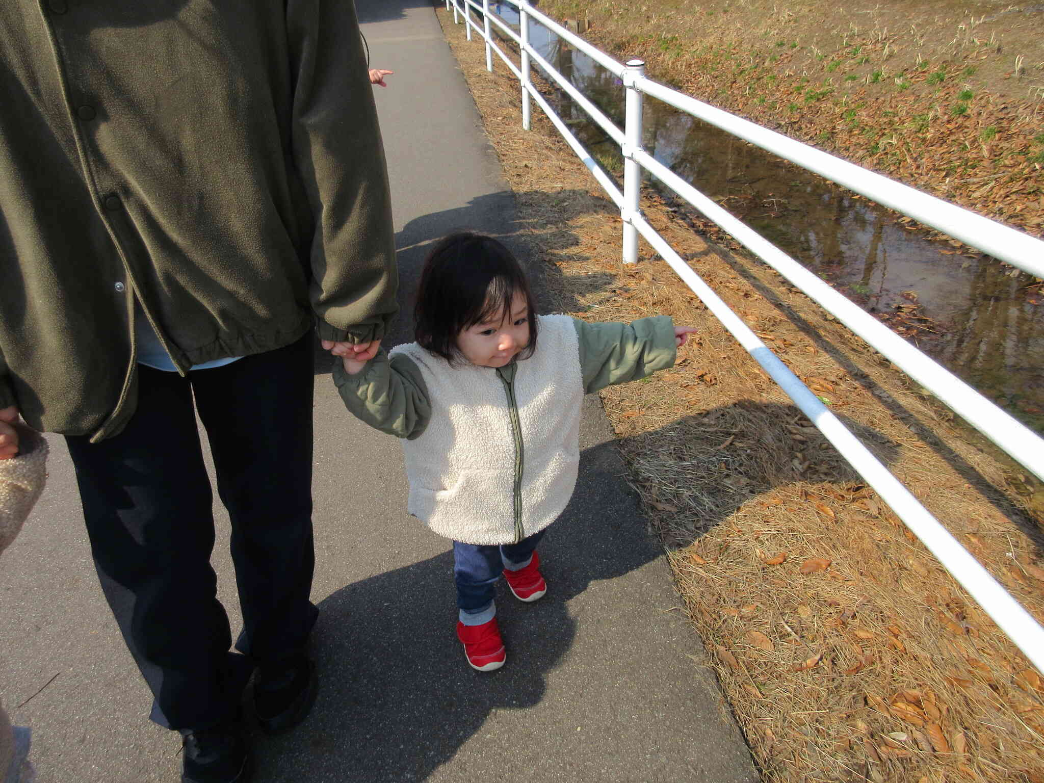 先生とお散歩楽しいなあ〜
