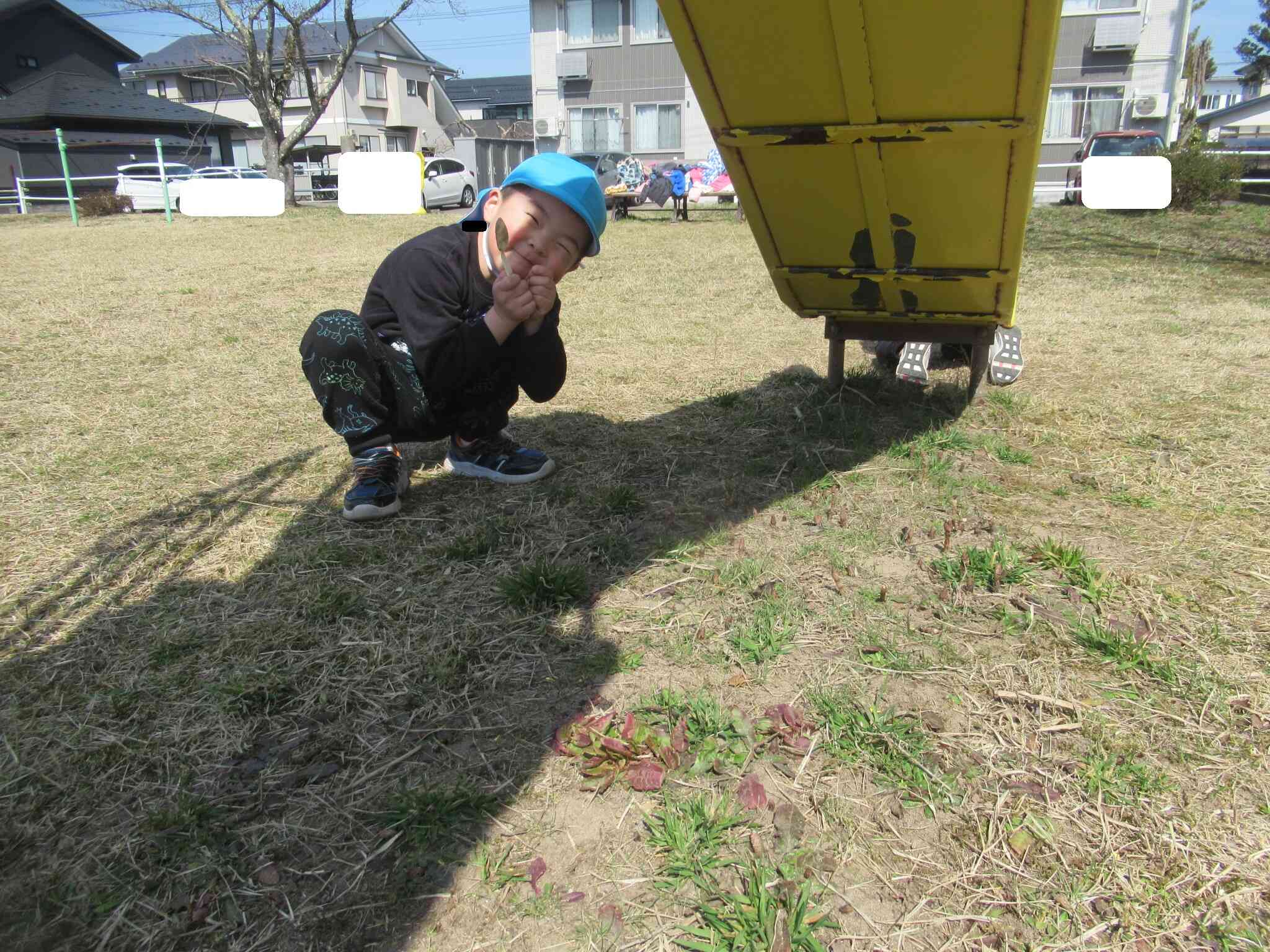 発見！春のお宝！