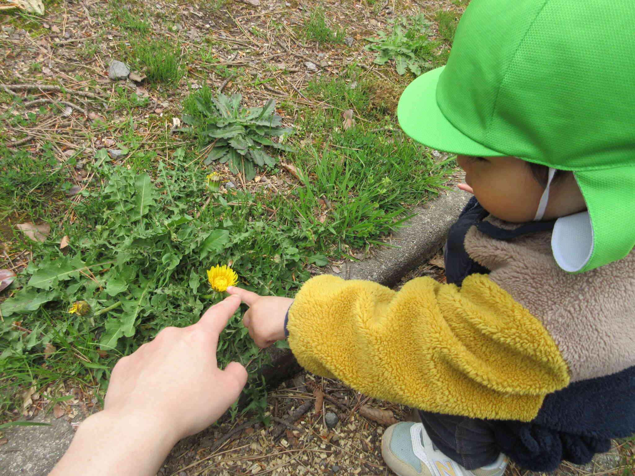 みーつけたっ(2歳児)