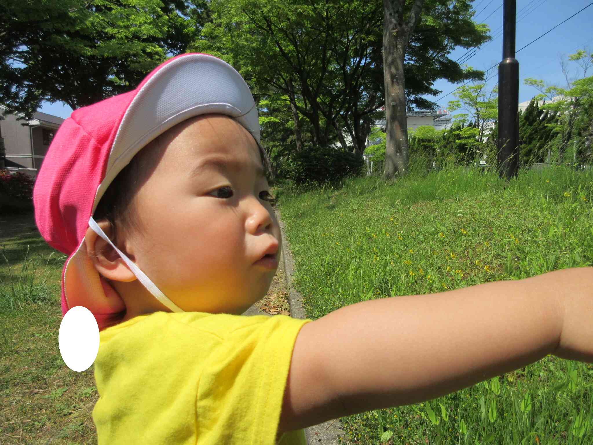 発見！(1.2歳児)