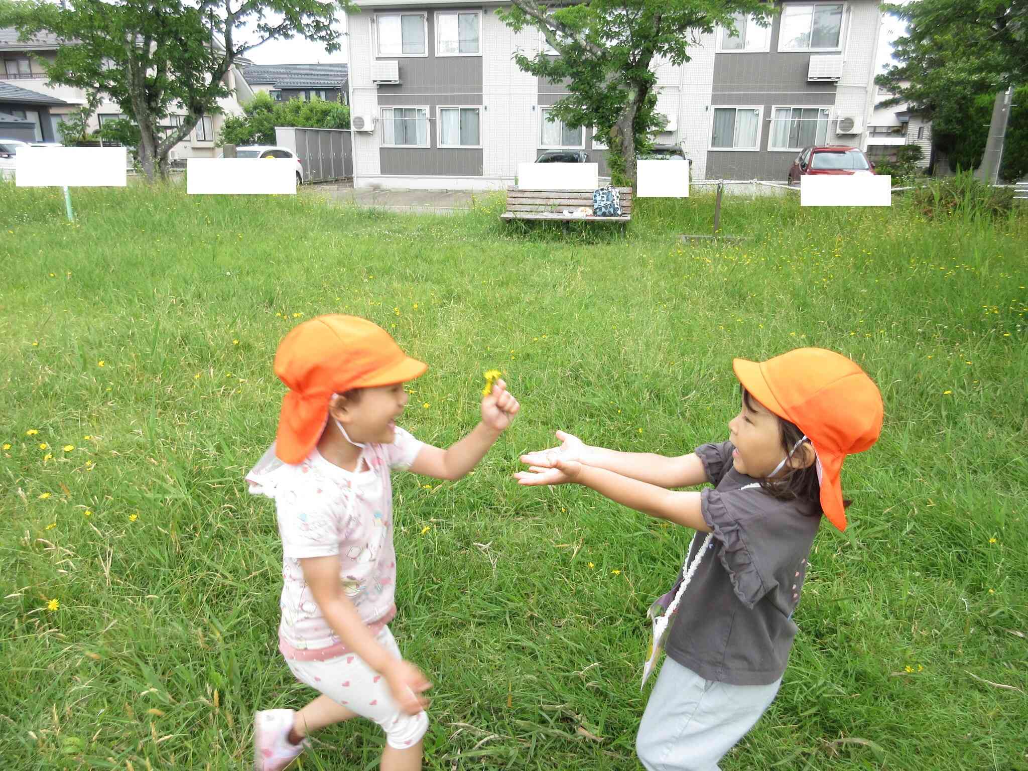 みてみて～