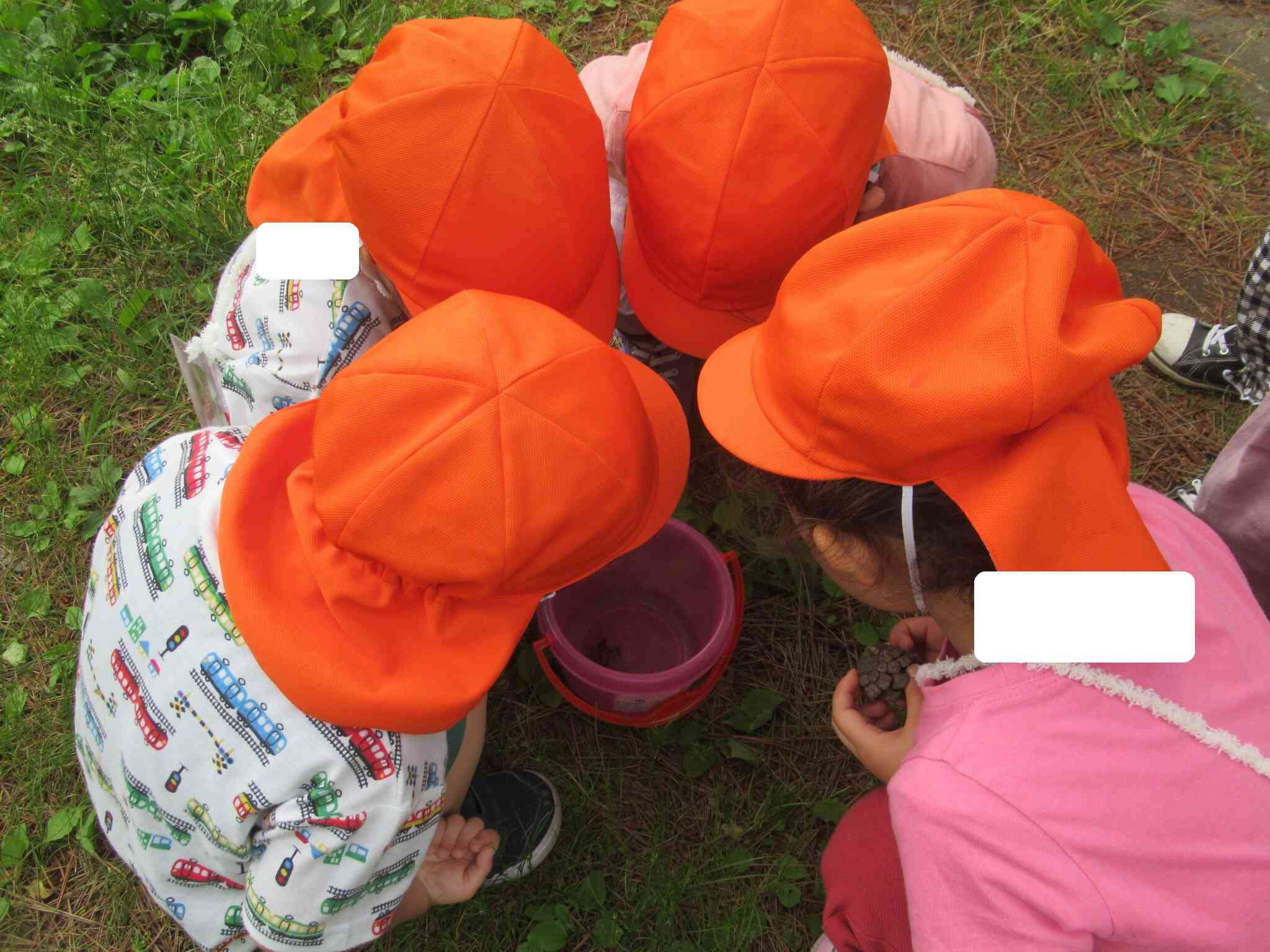何かな？何かな？(3歳児)