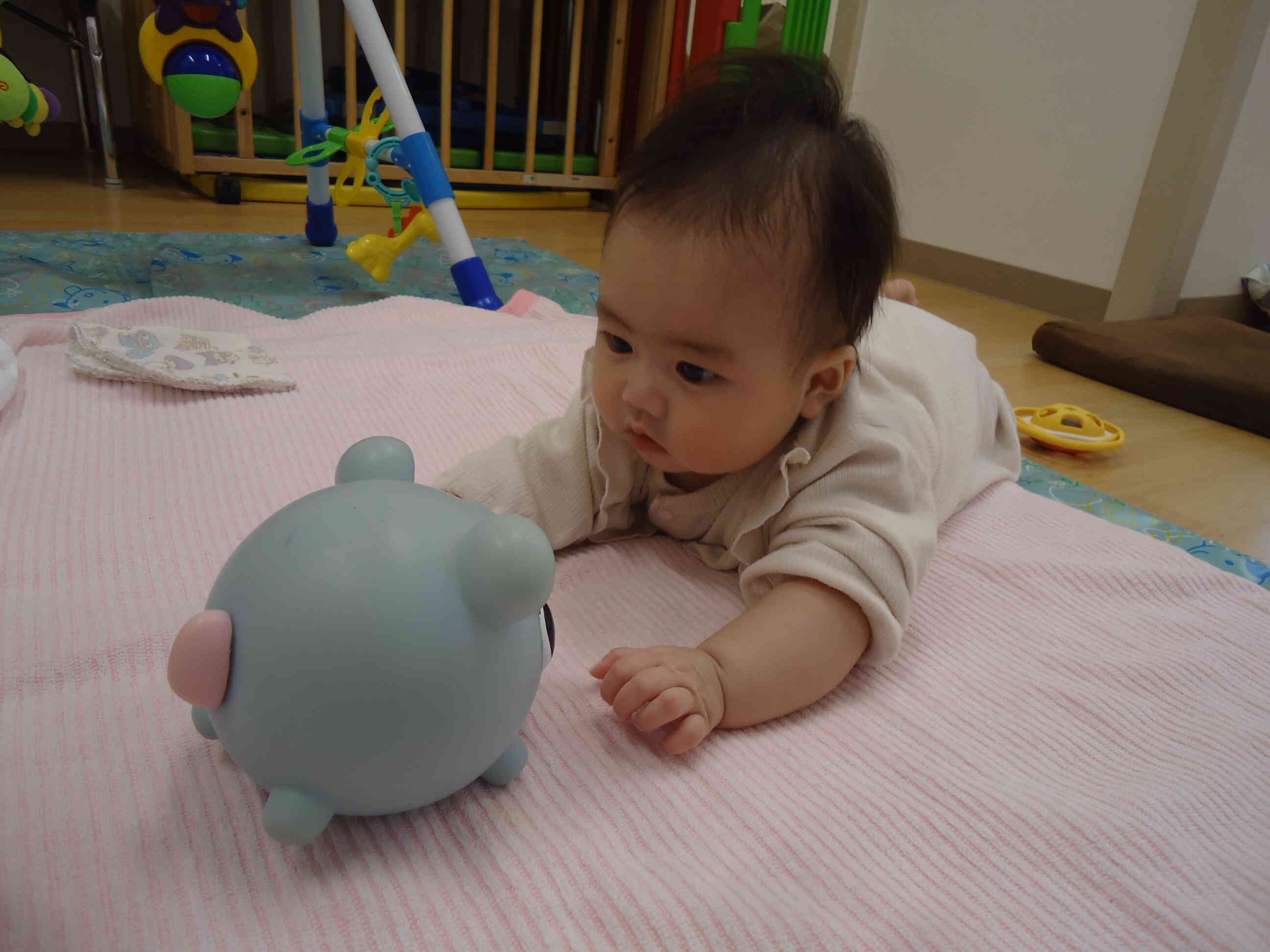 これはなんだろう？