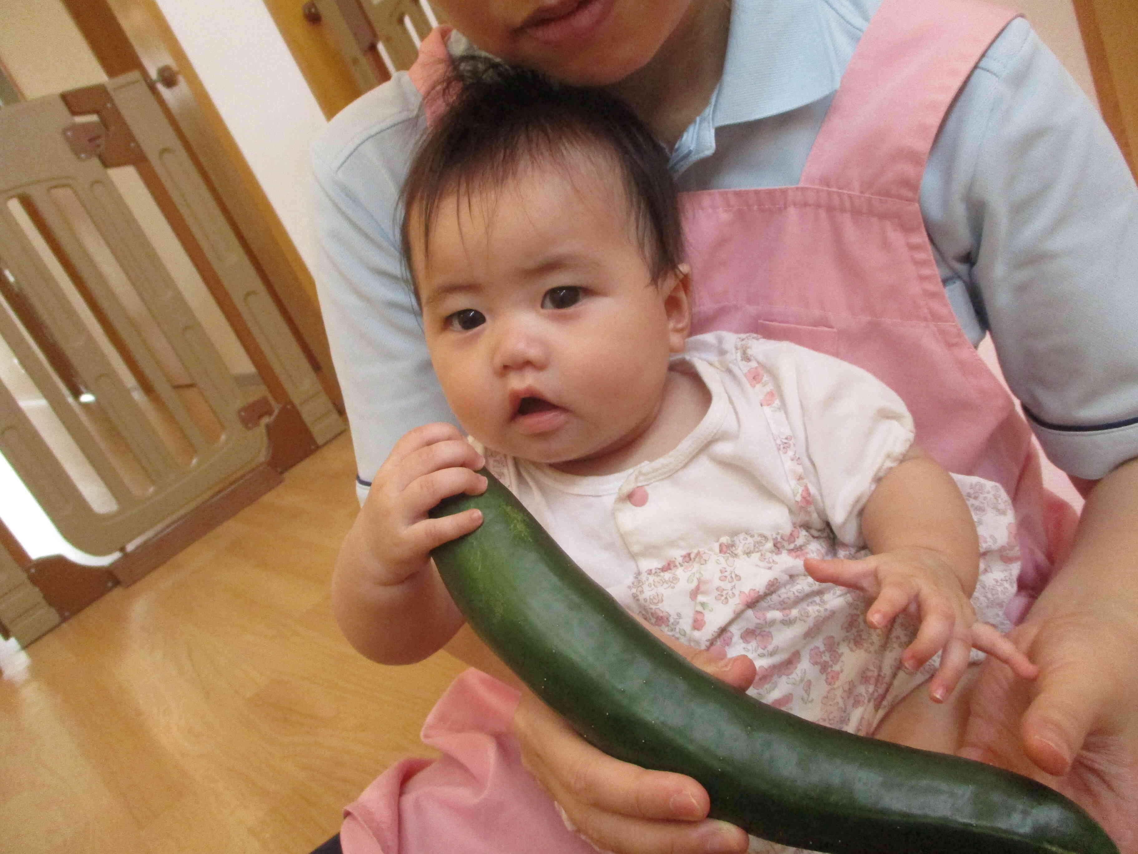 せんせいと一緒に観察♪