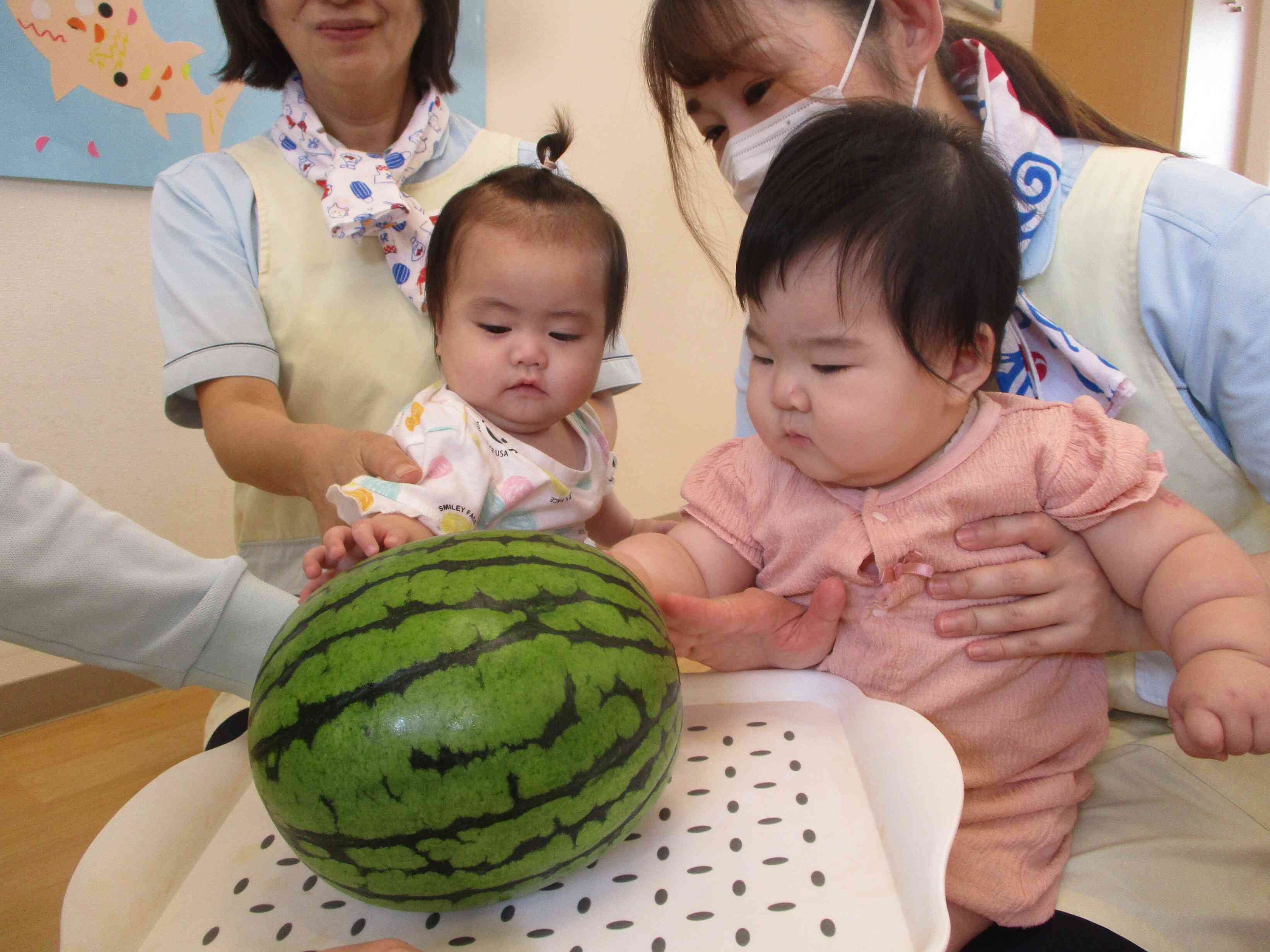 すいか、大きいね！