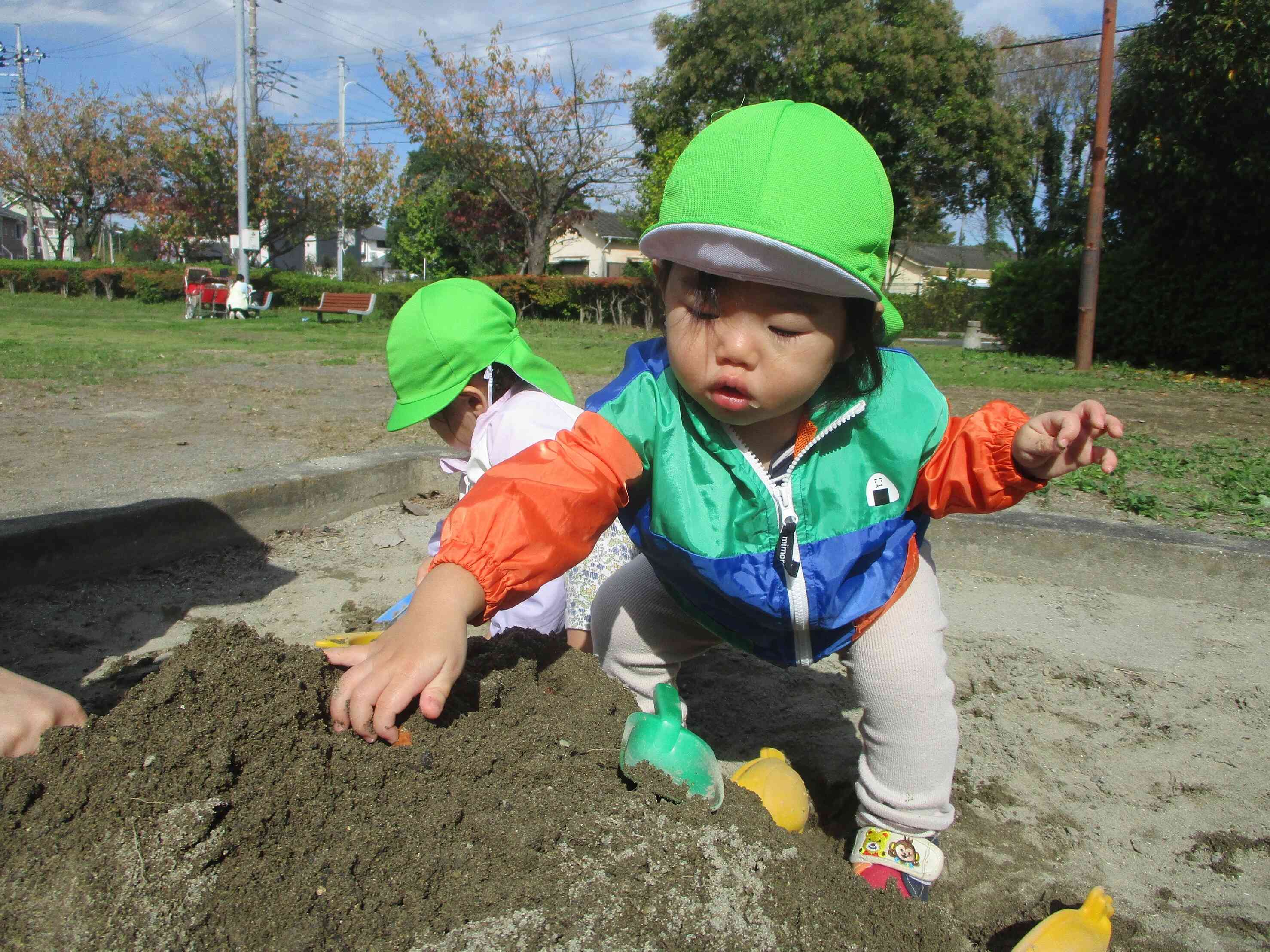 どんぐり、みーつけた!