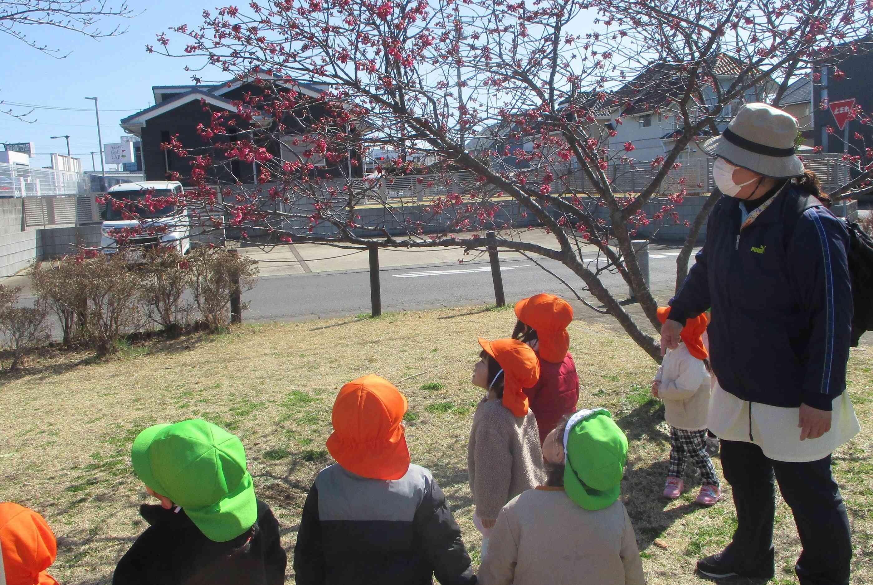 春が来たかな？