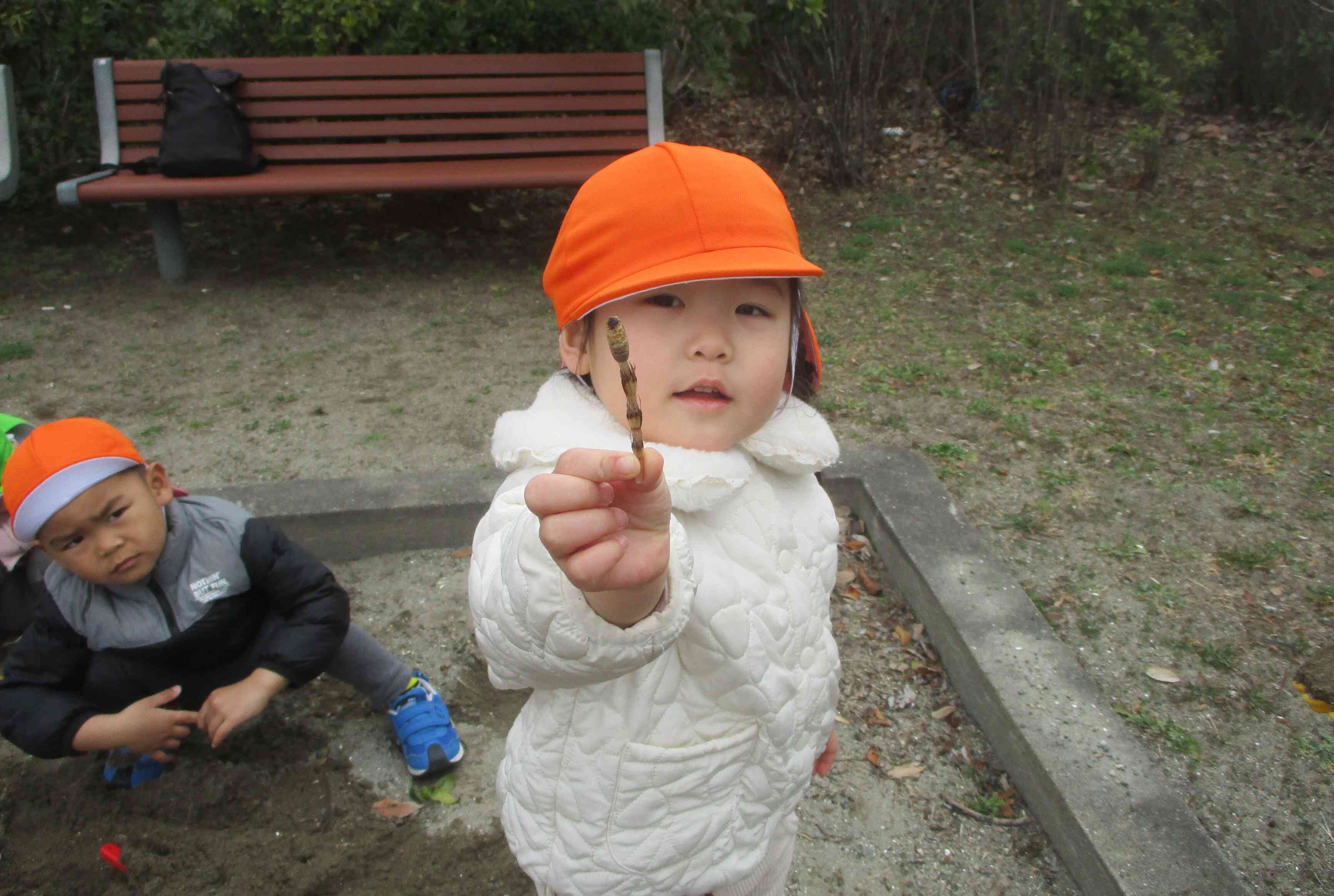 これはなぁ～んだ？