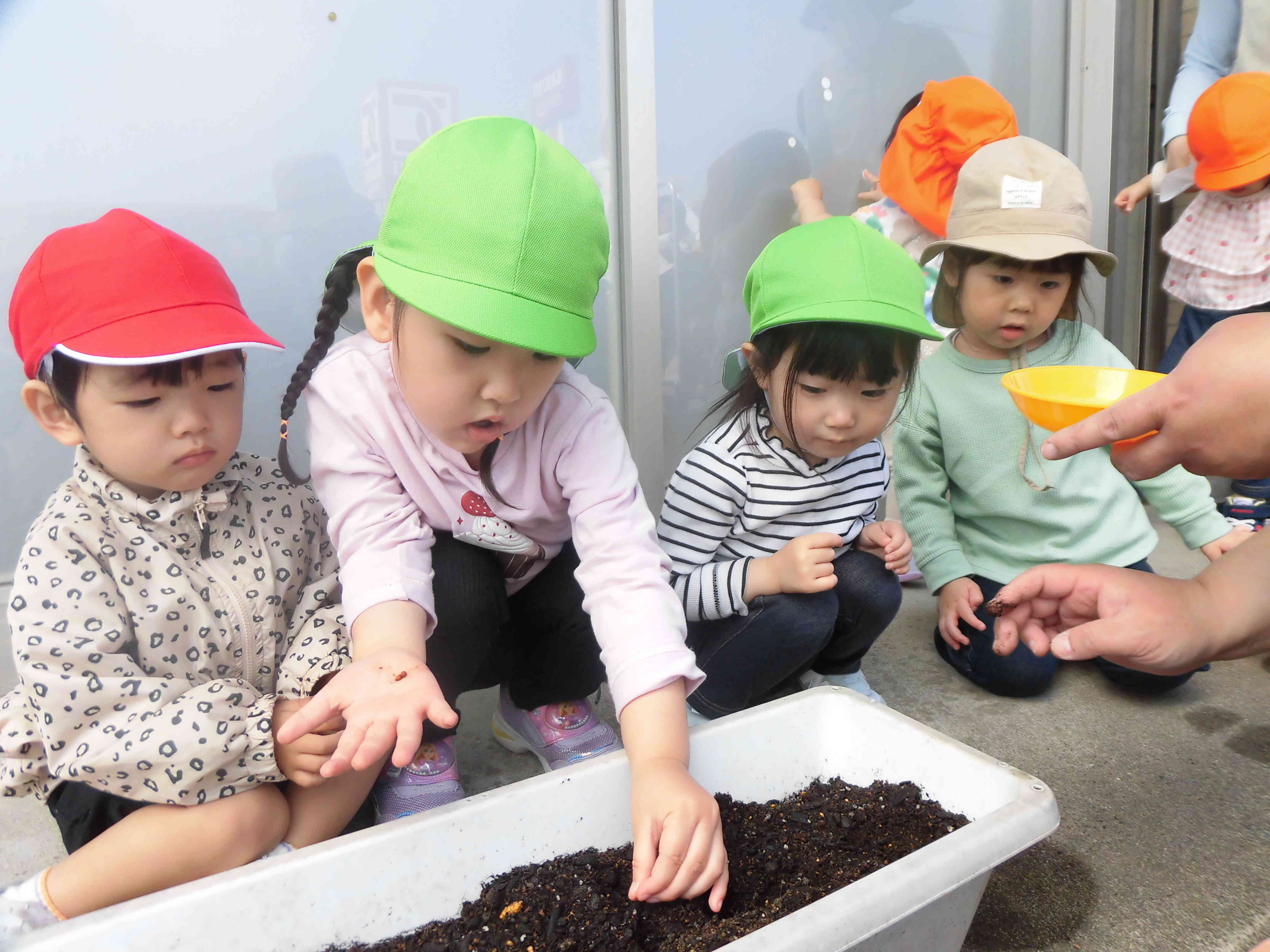 わくわく☆種まき