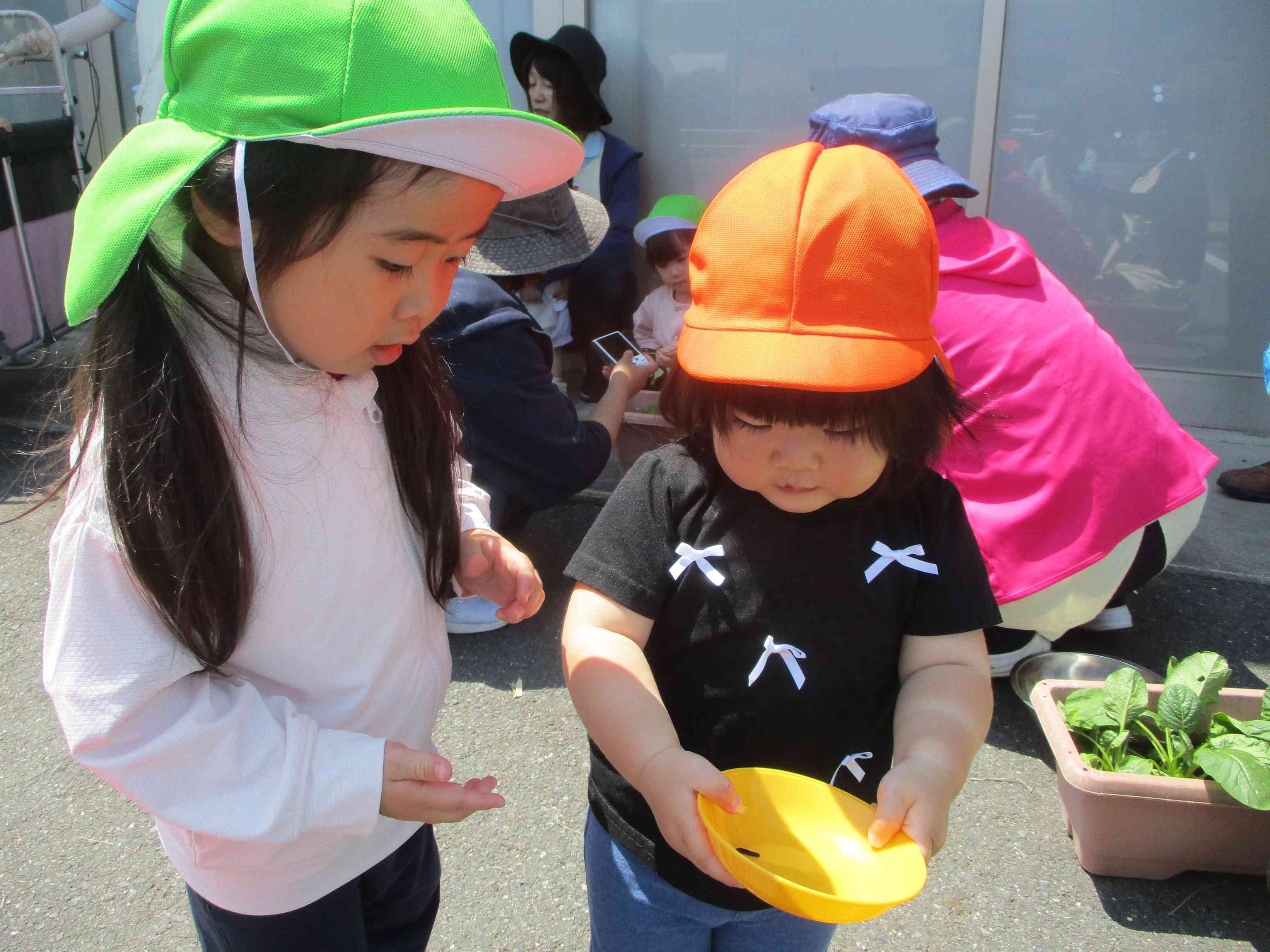 おもいっきり☆野菜収穫①