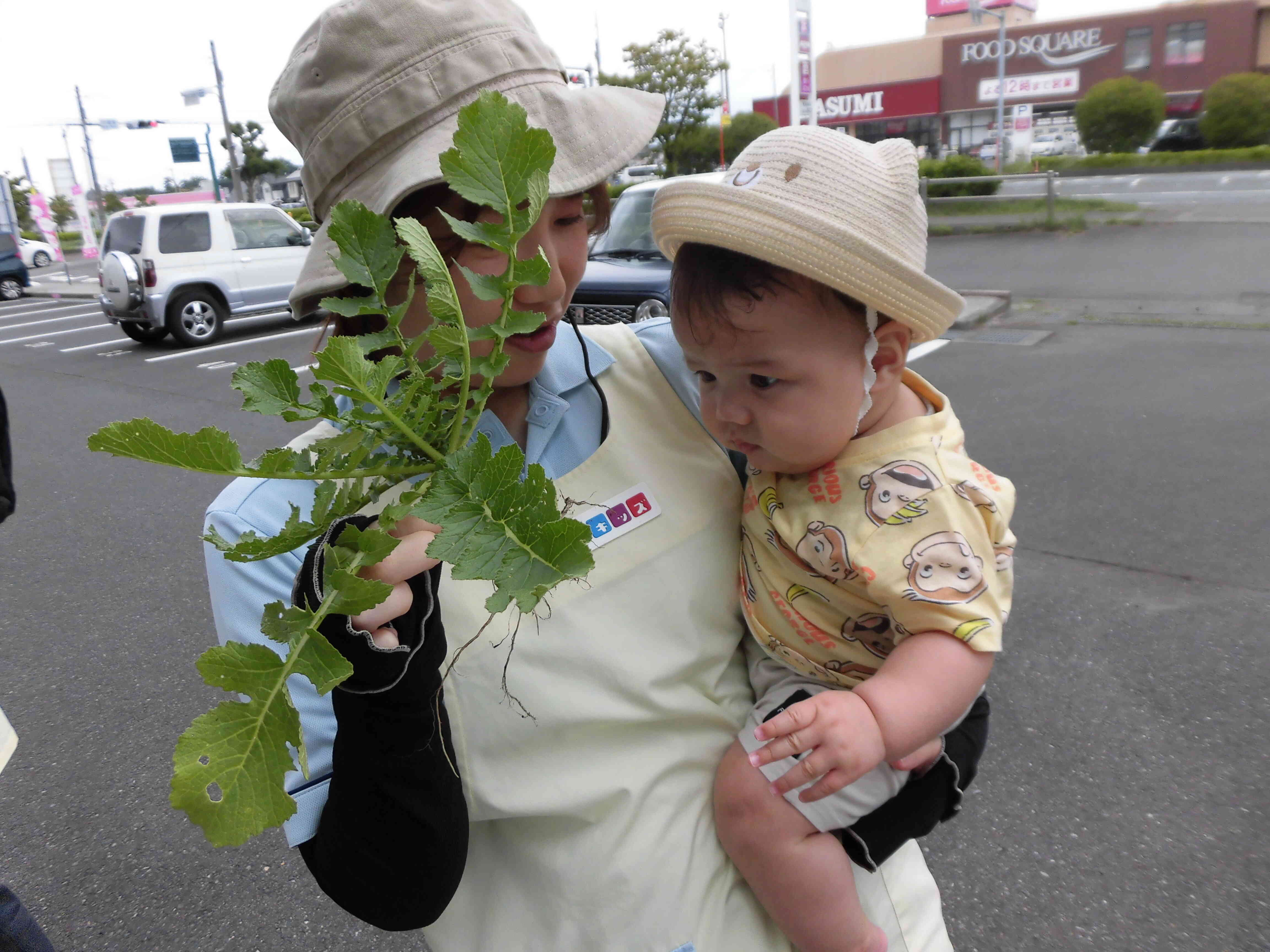 おもいっきり☆野菜収穫④
