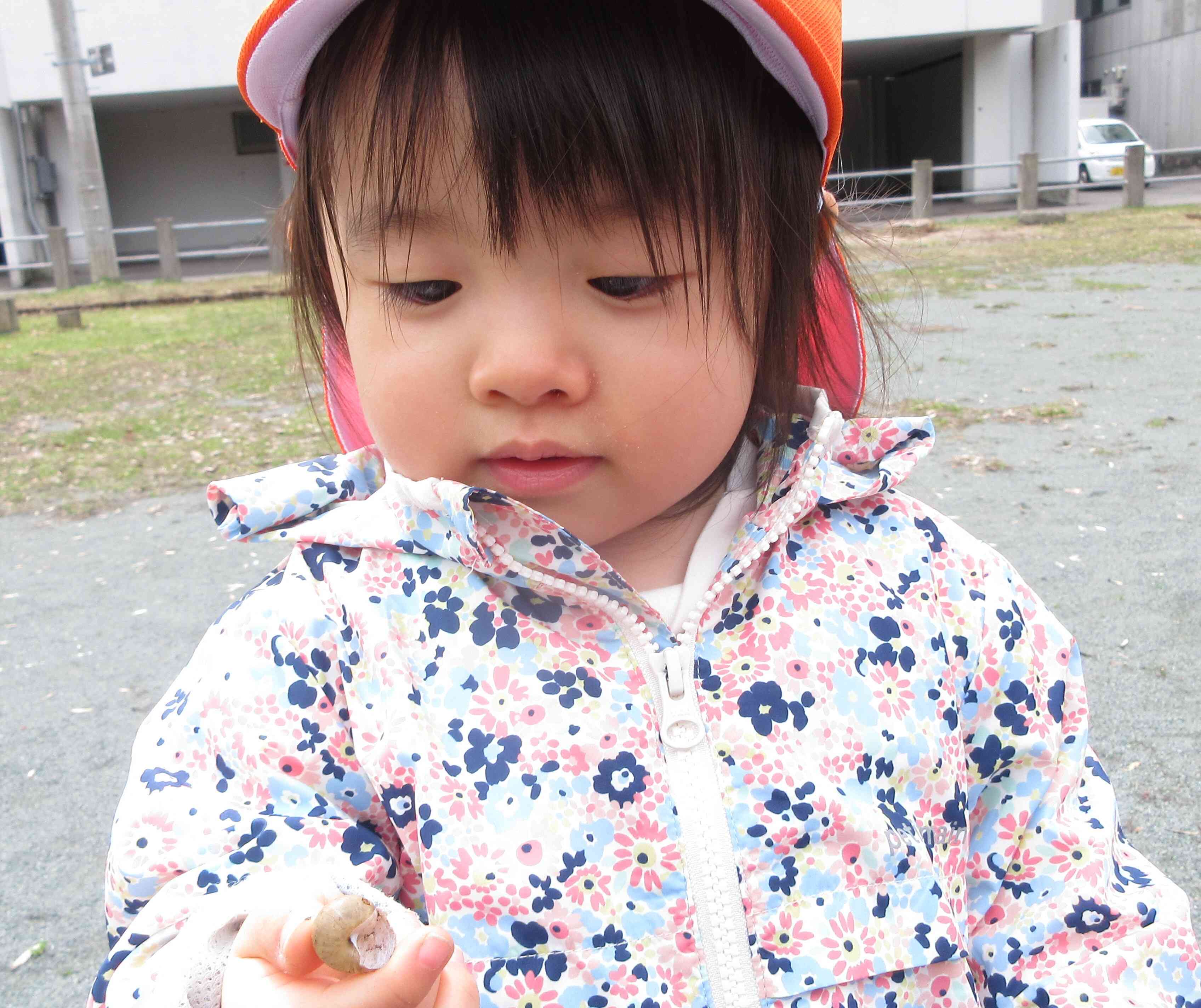 これなんだろう