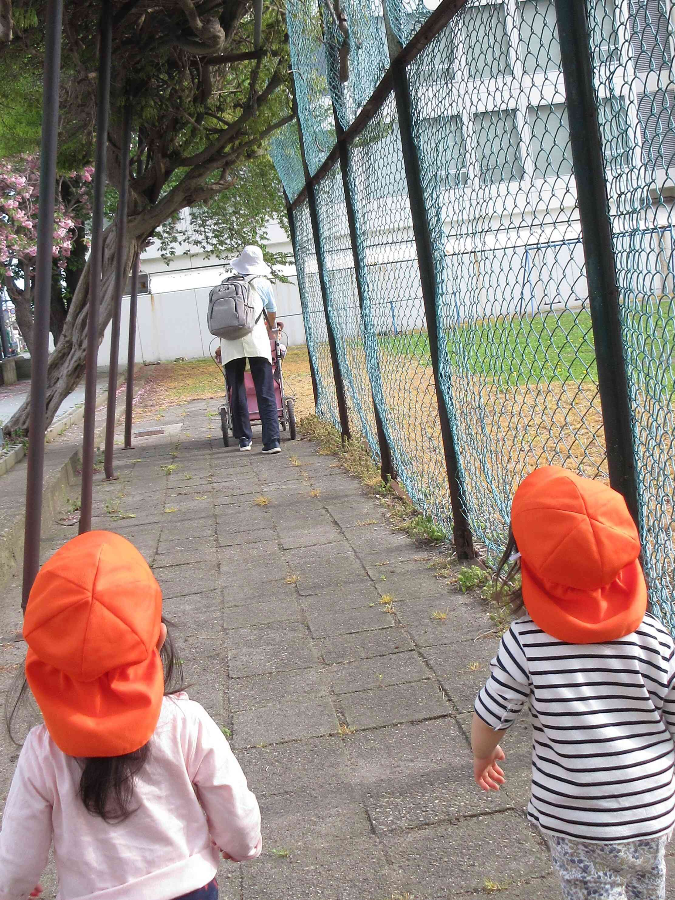 葉っぱのトンネルだ