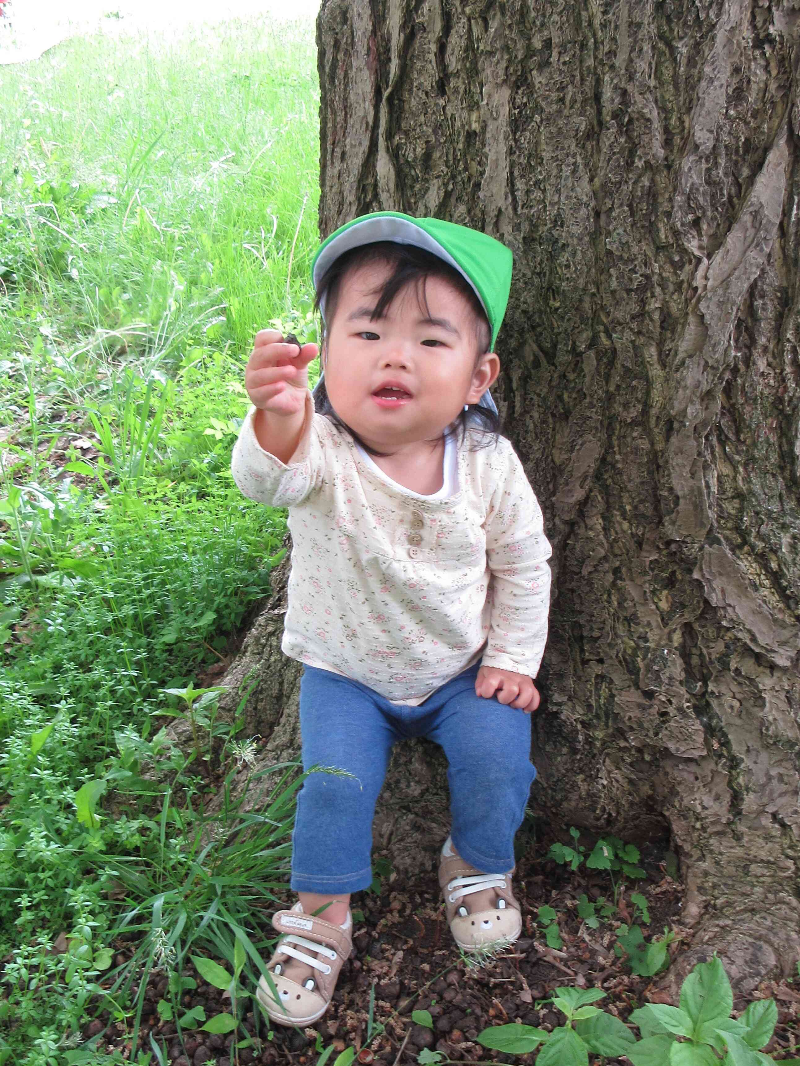 木の実みいつけた