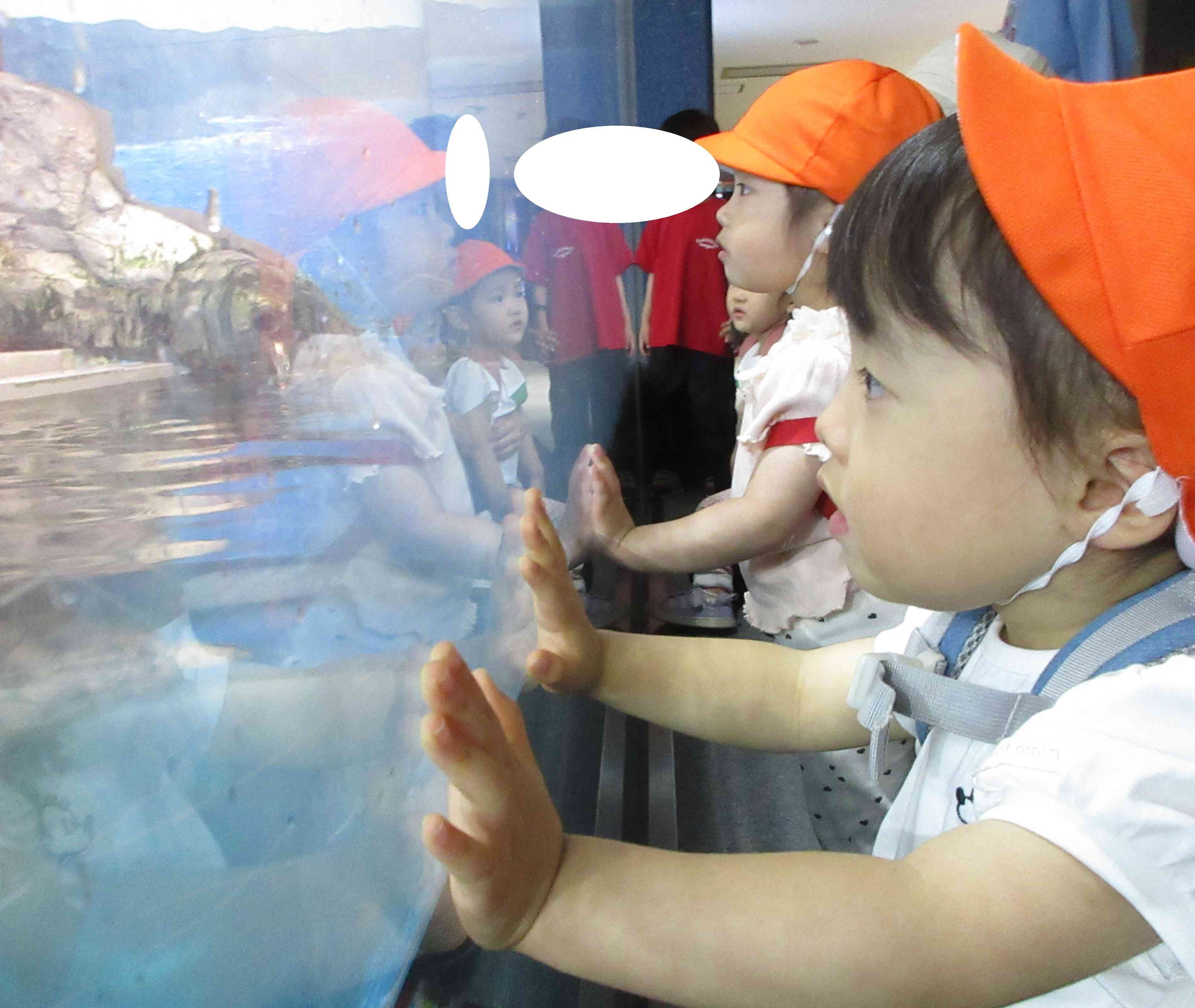 浅虫水族館に到着!