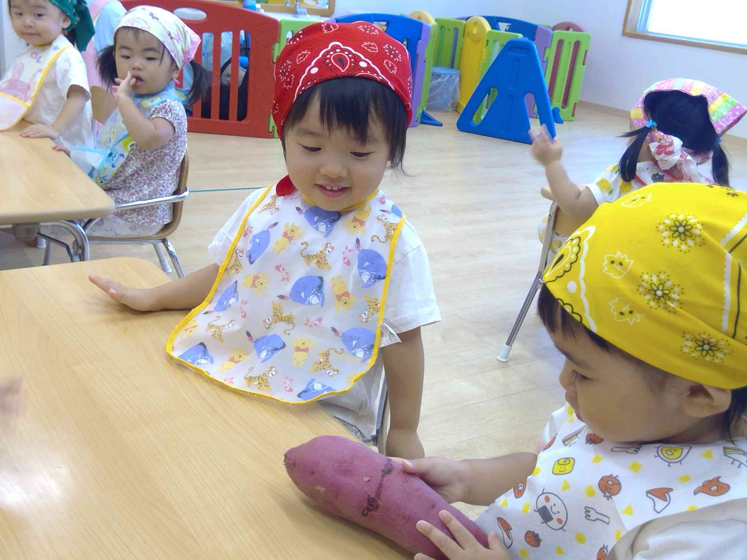 これがさつまいもかあ