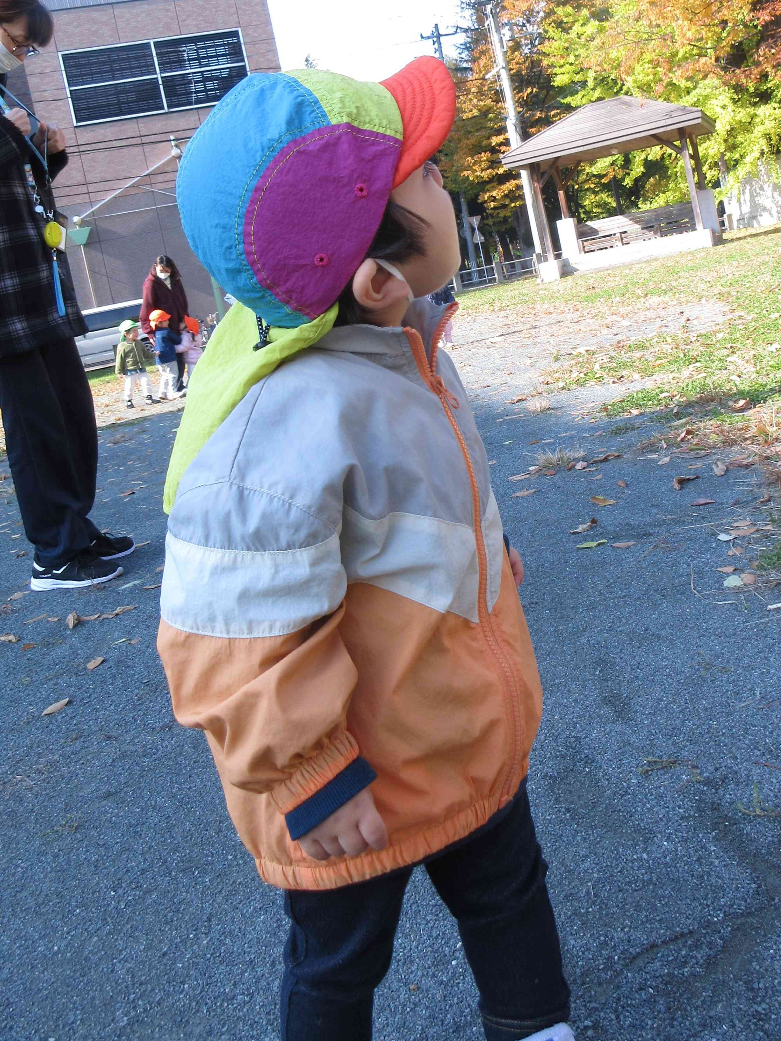 おっ！飛行機だ