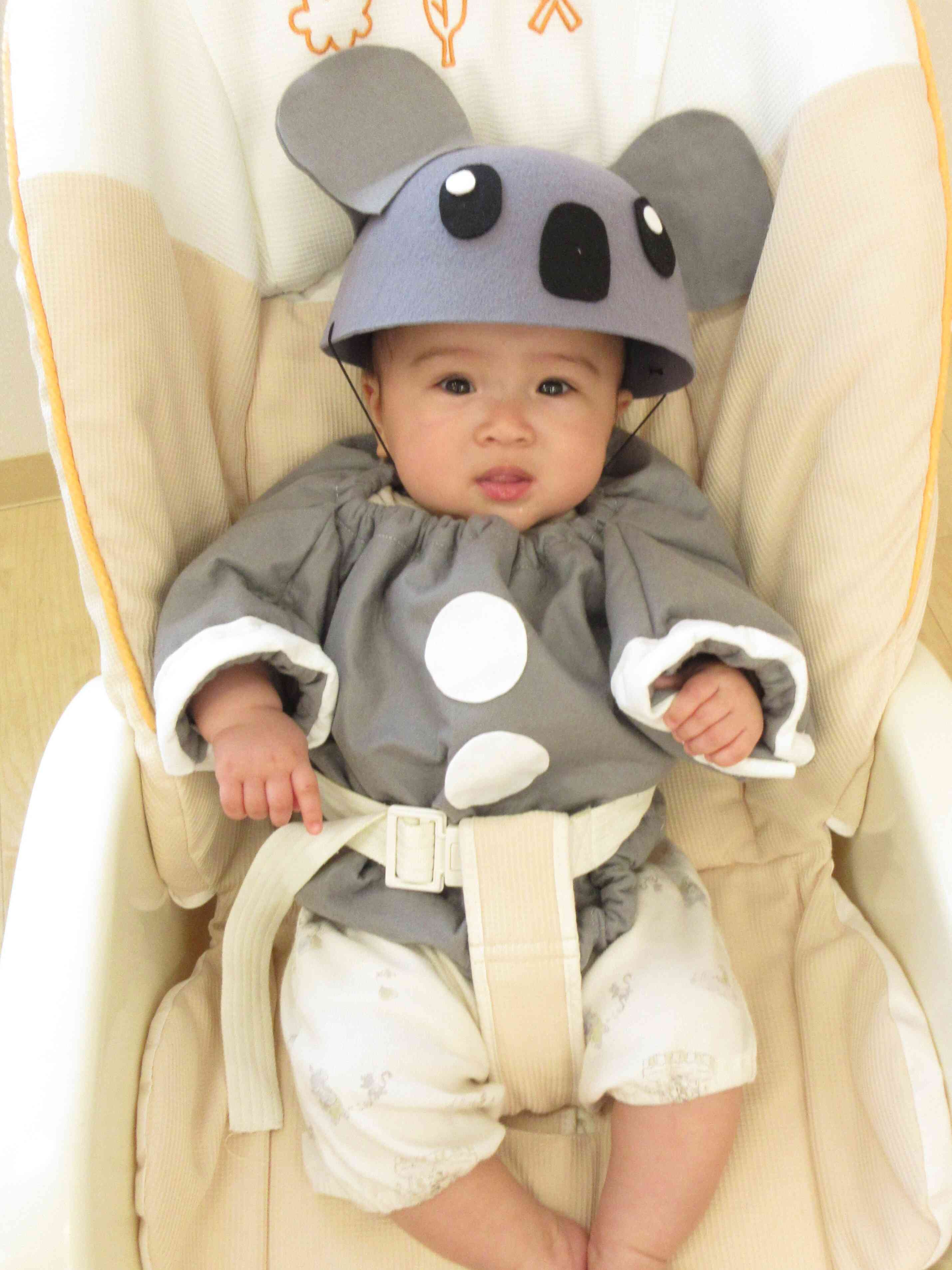 可愛いコアラさん