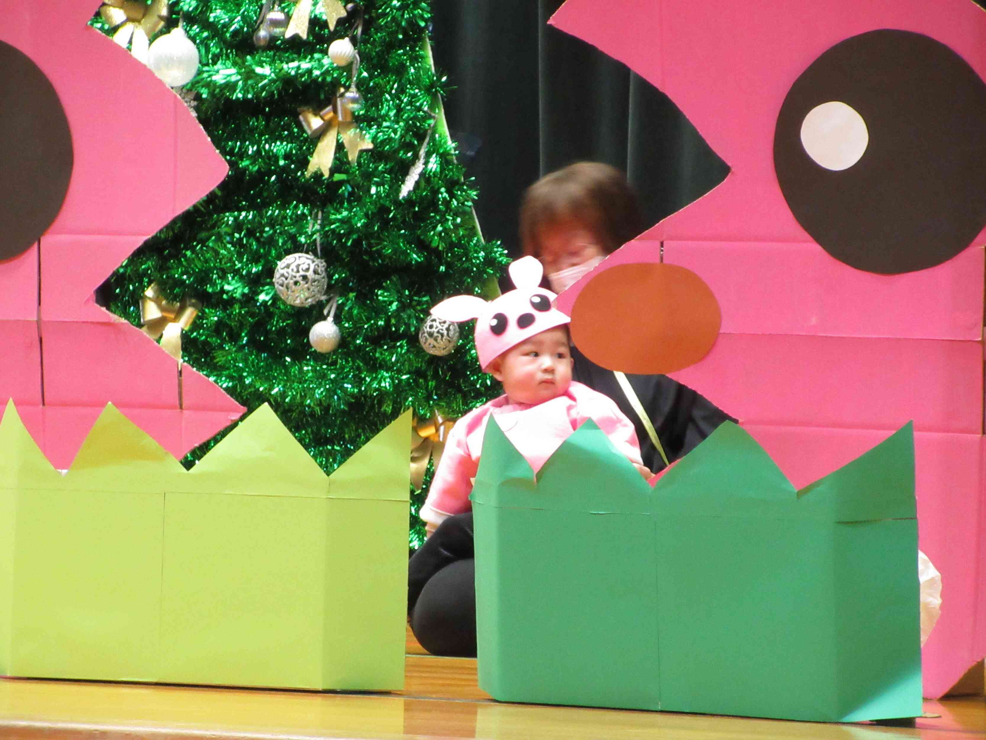 可愛いうさぎさん