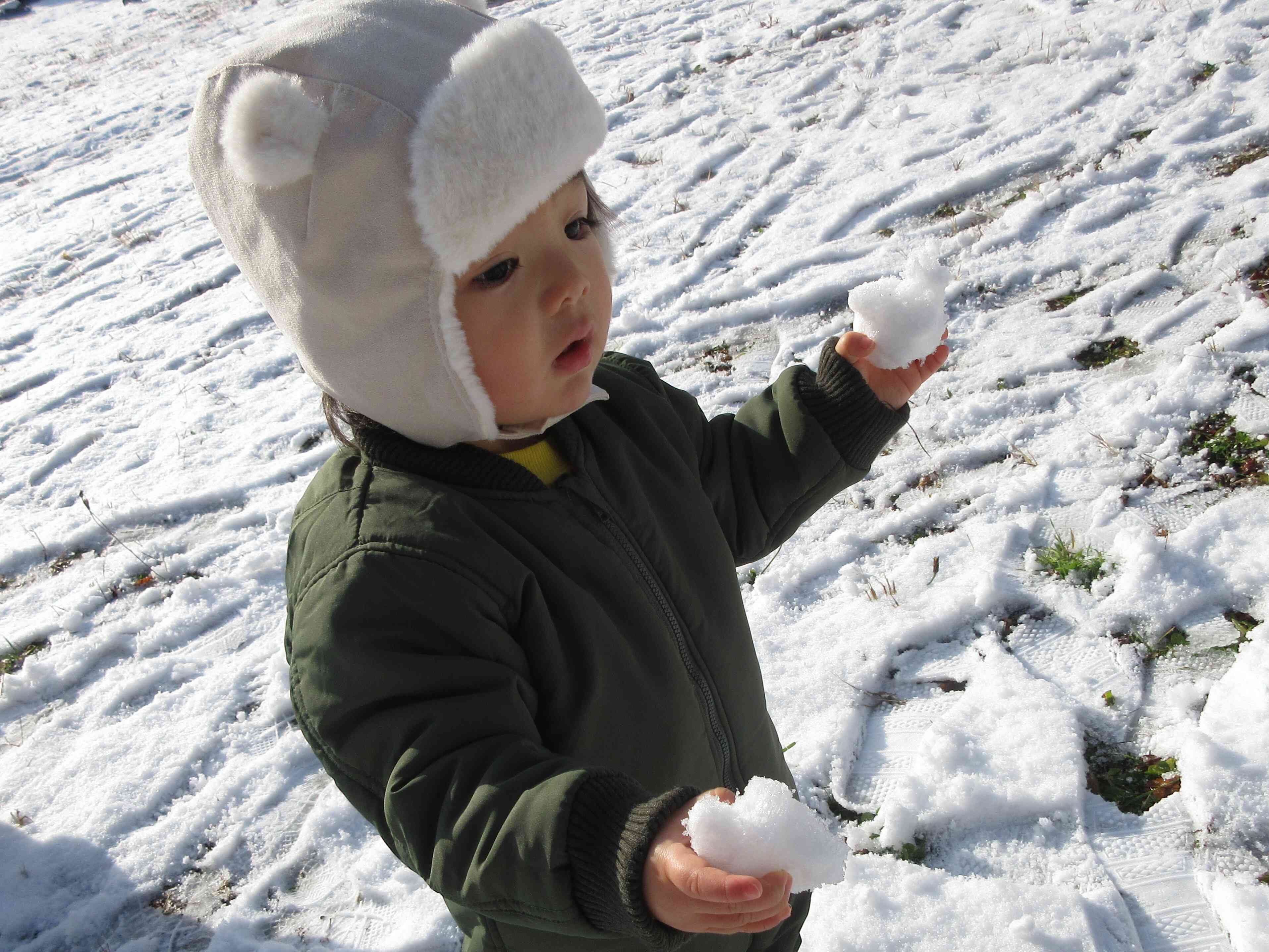 両手に持ってみたよ