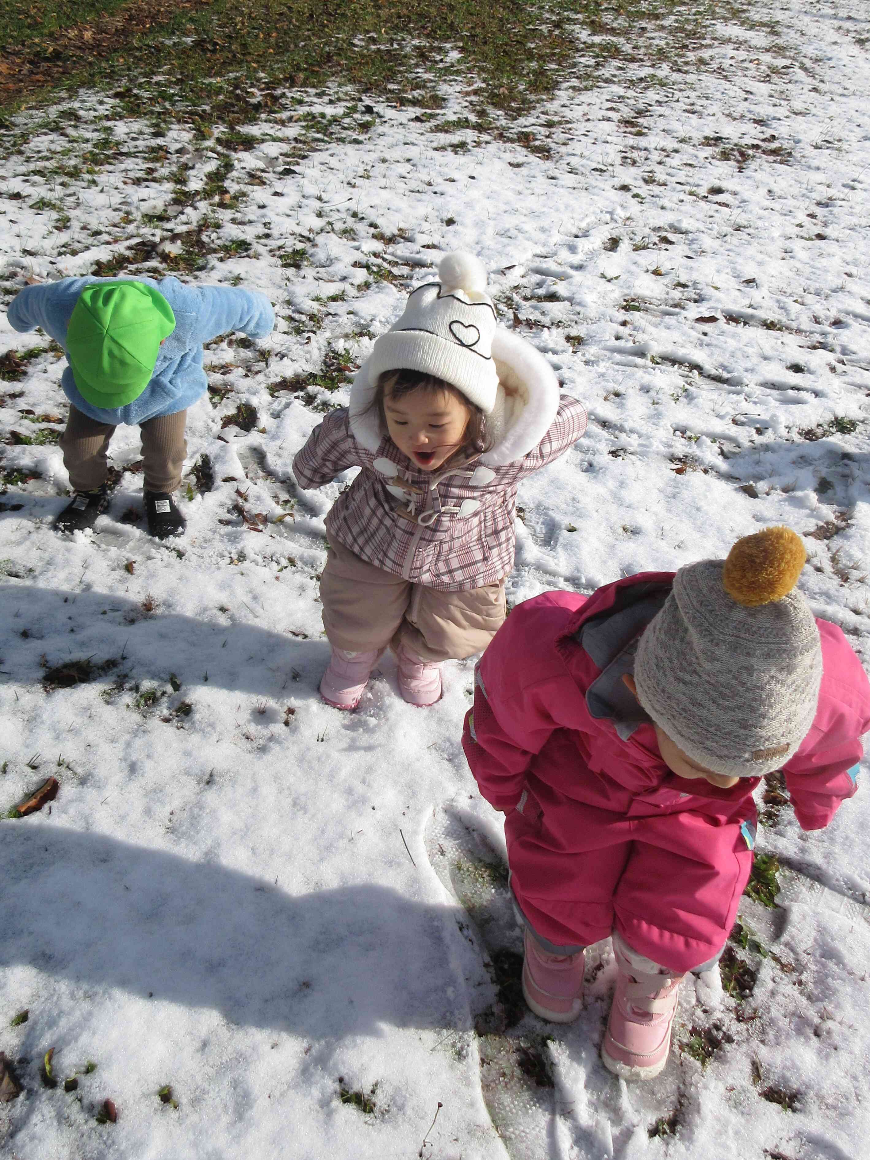 雪が積もってきました