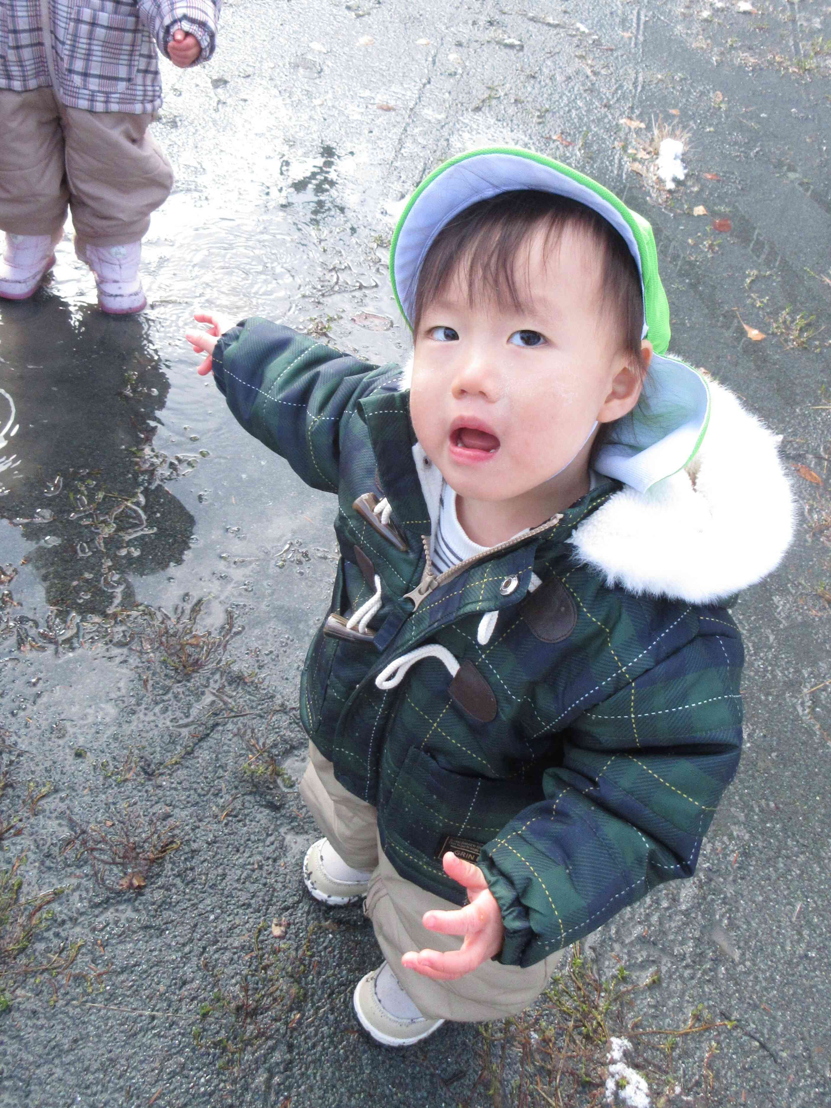 何か見つけたみたい。。