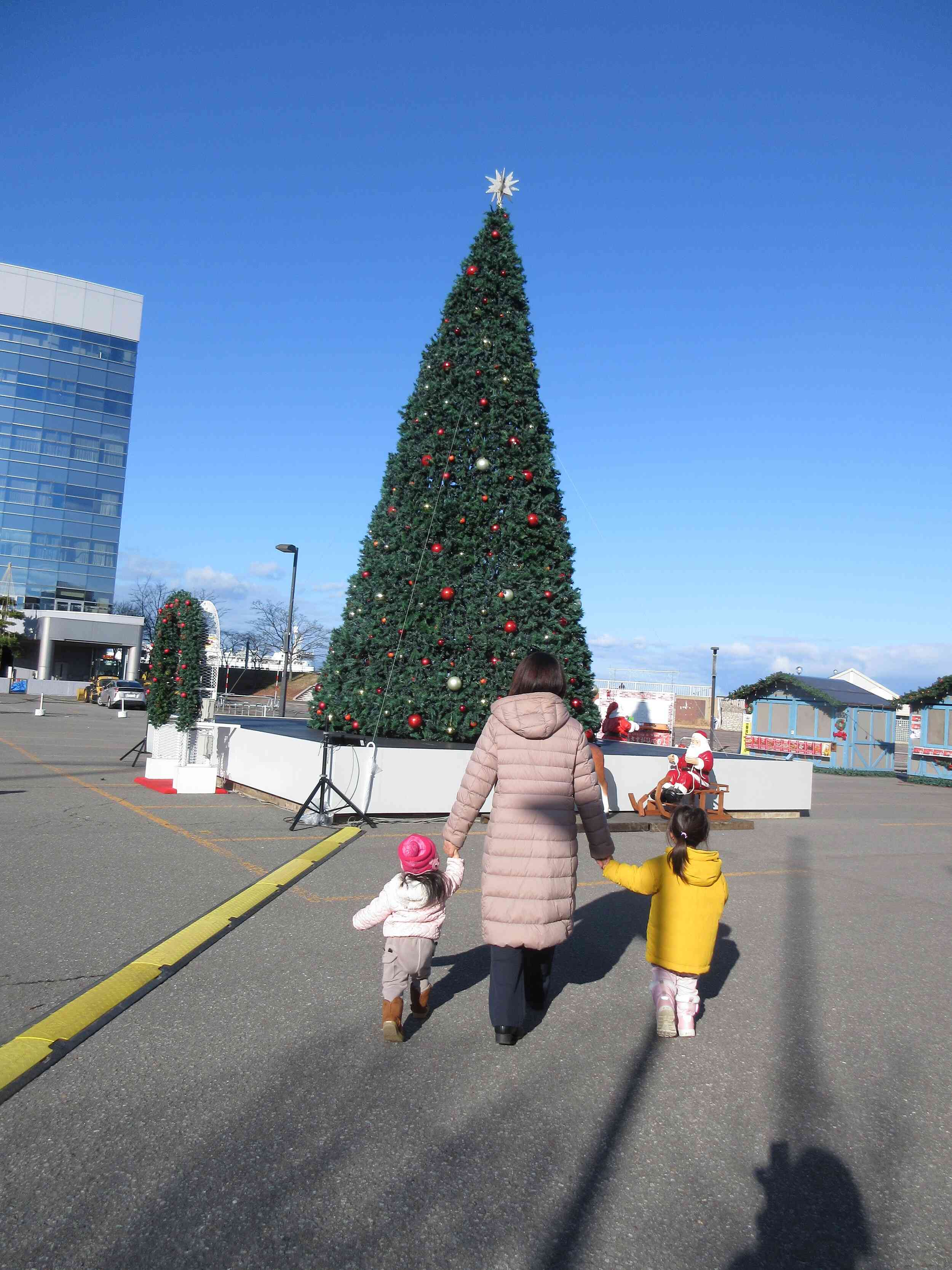 大きなツリーだ！