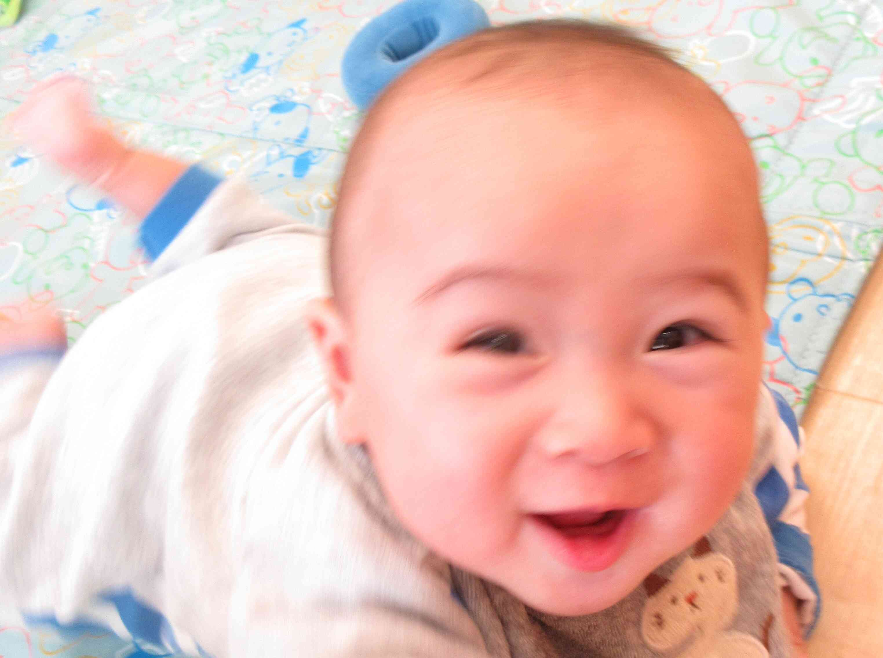 ひよこ組さんはお部屋でゆっくりしたよ