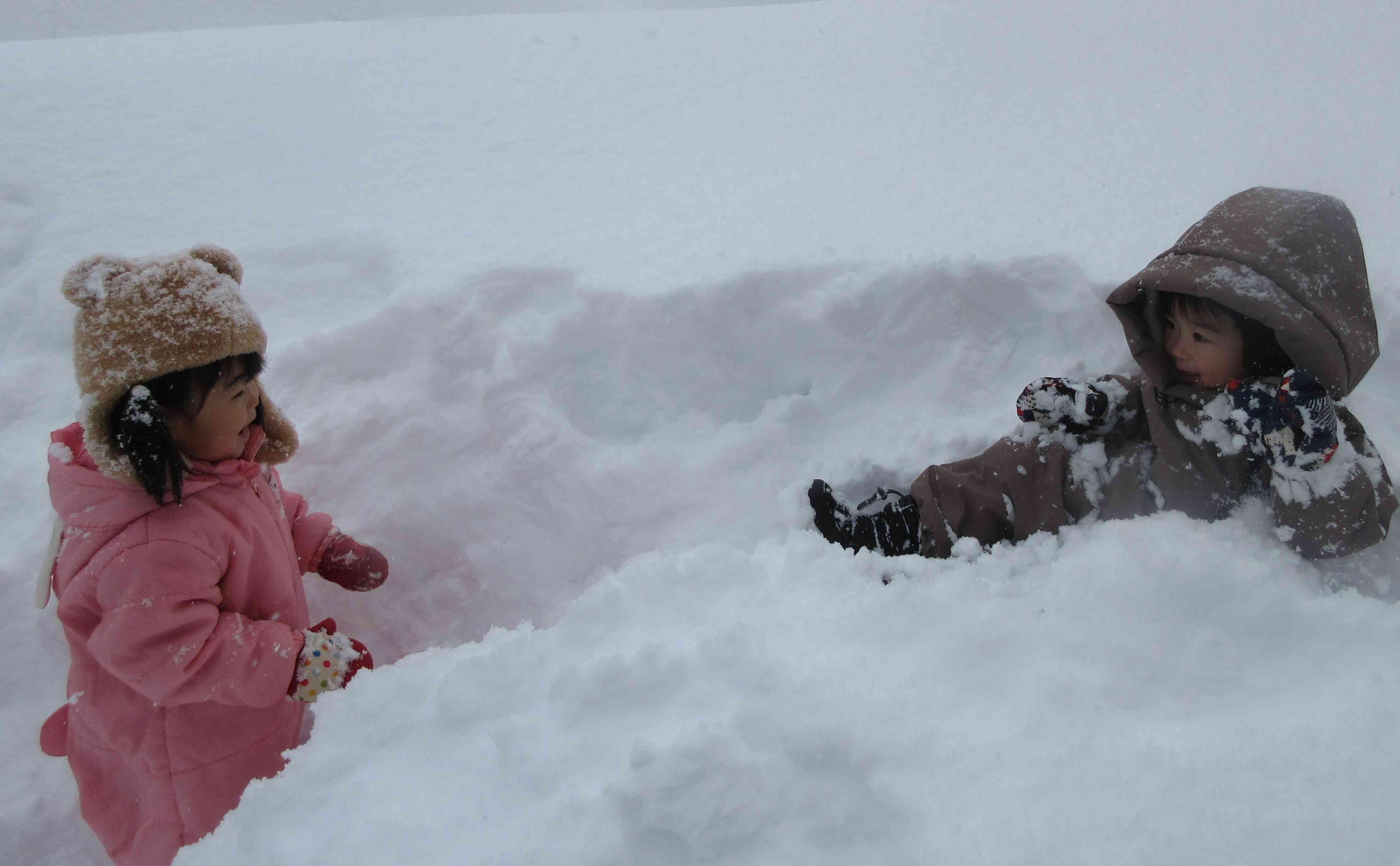 ふかふかで気持ちよさそうだね