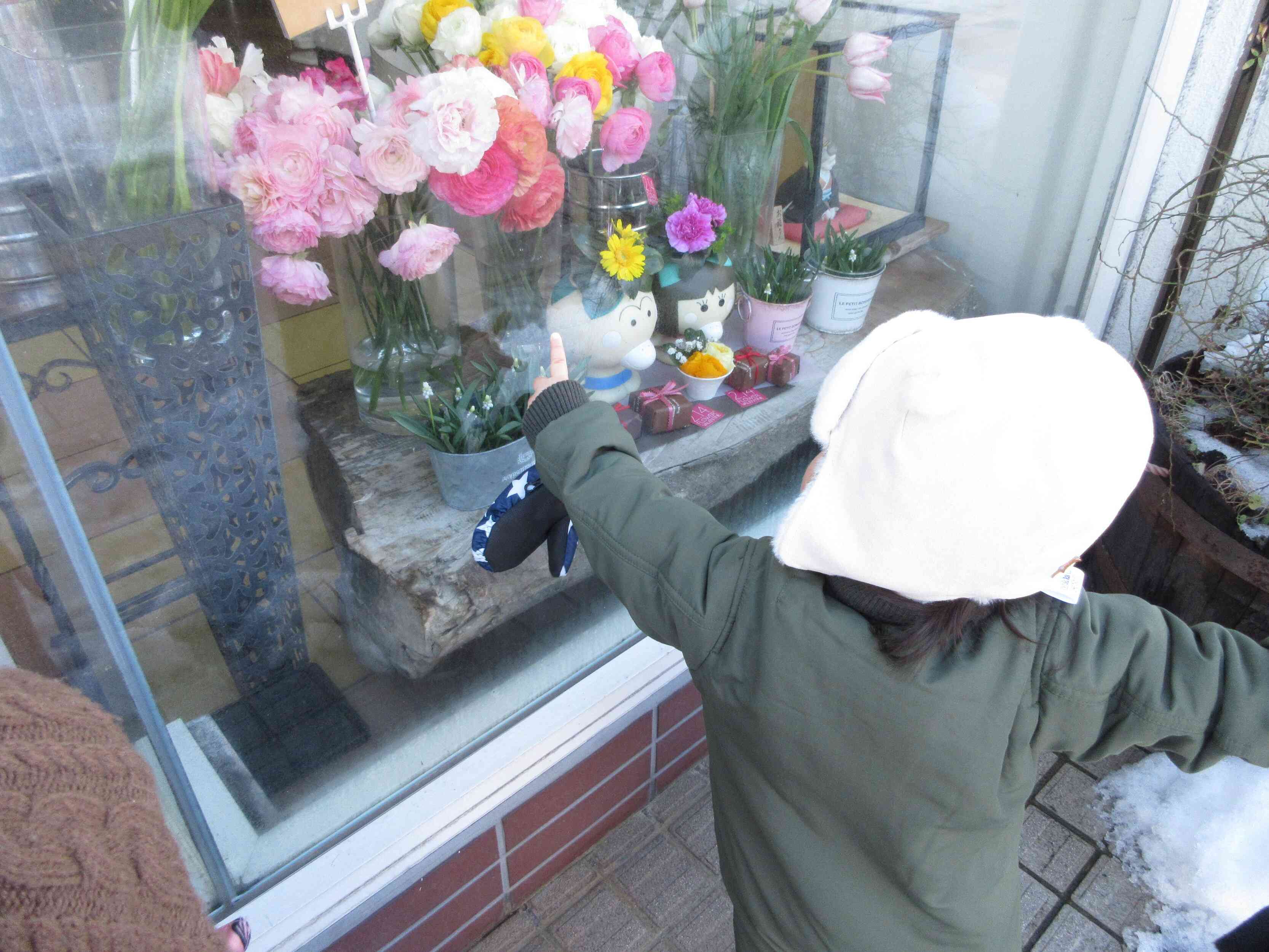 綺麗なお花だね