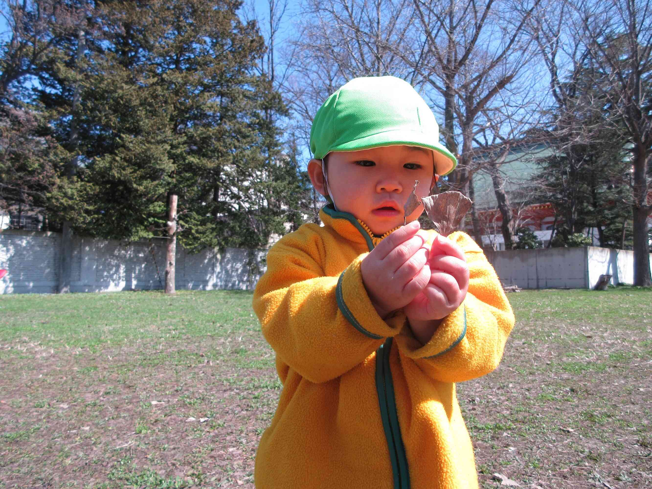 葉っぱ見つけたよ