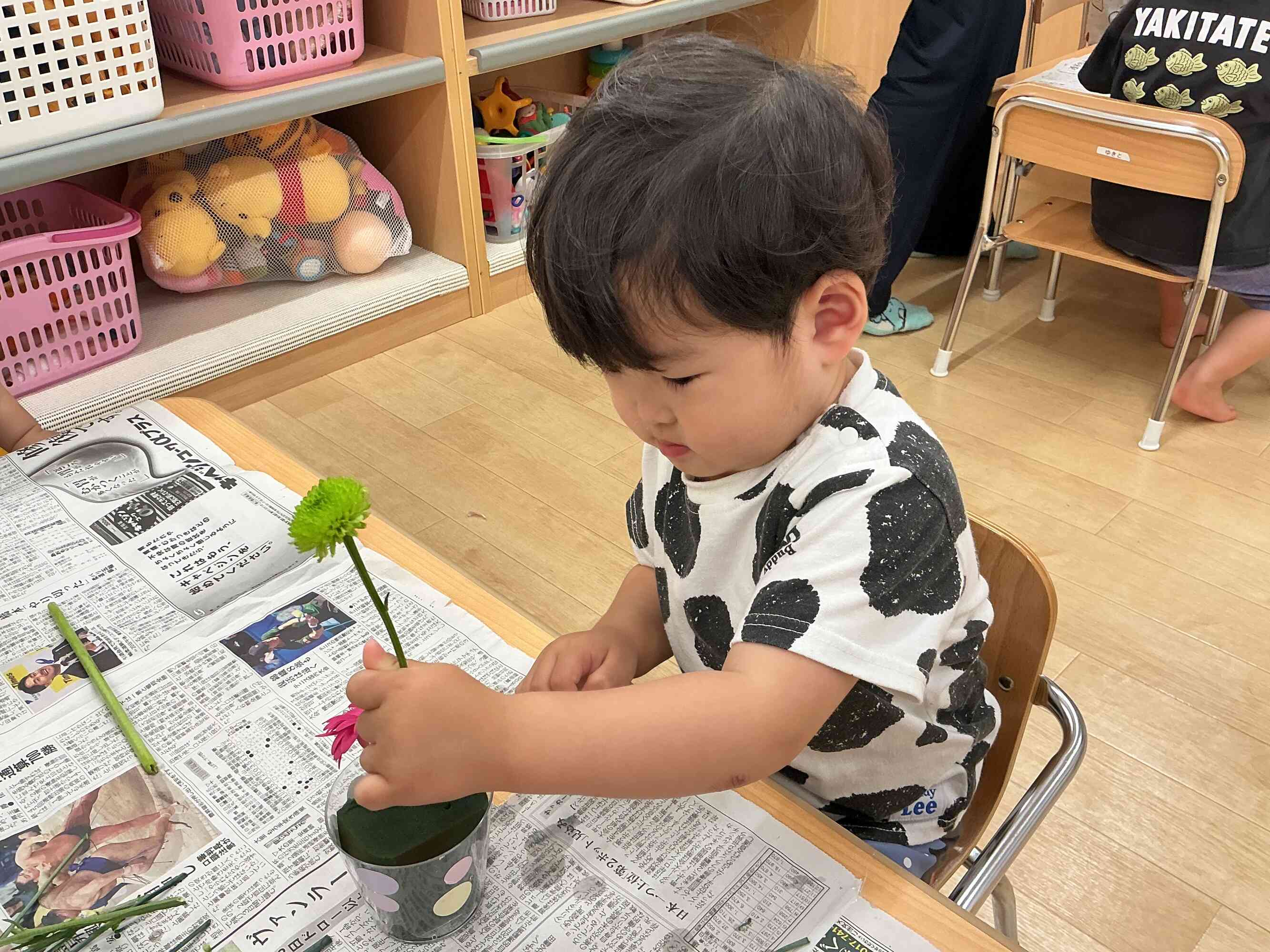 これに決めた