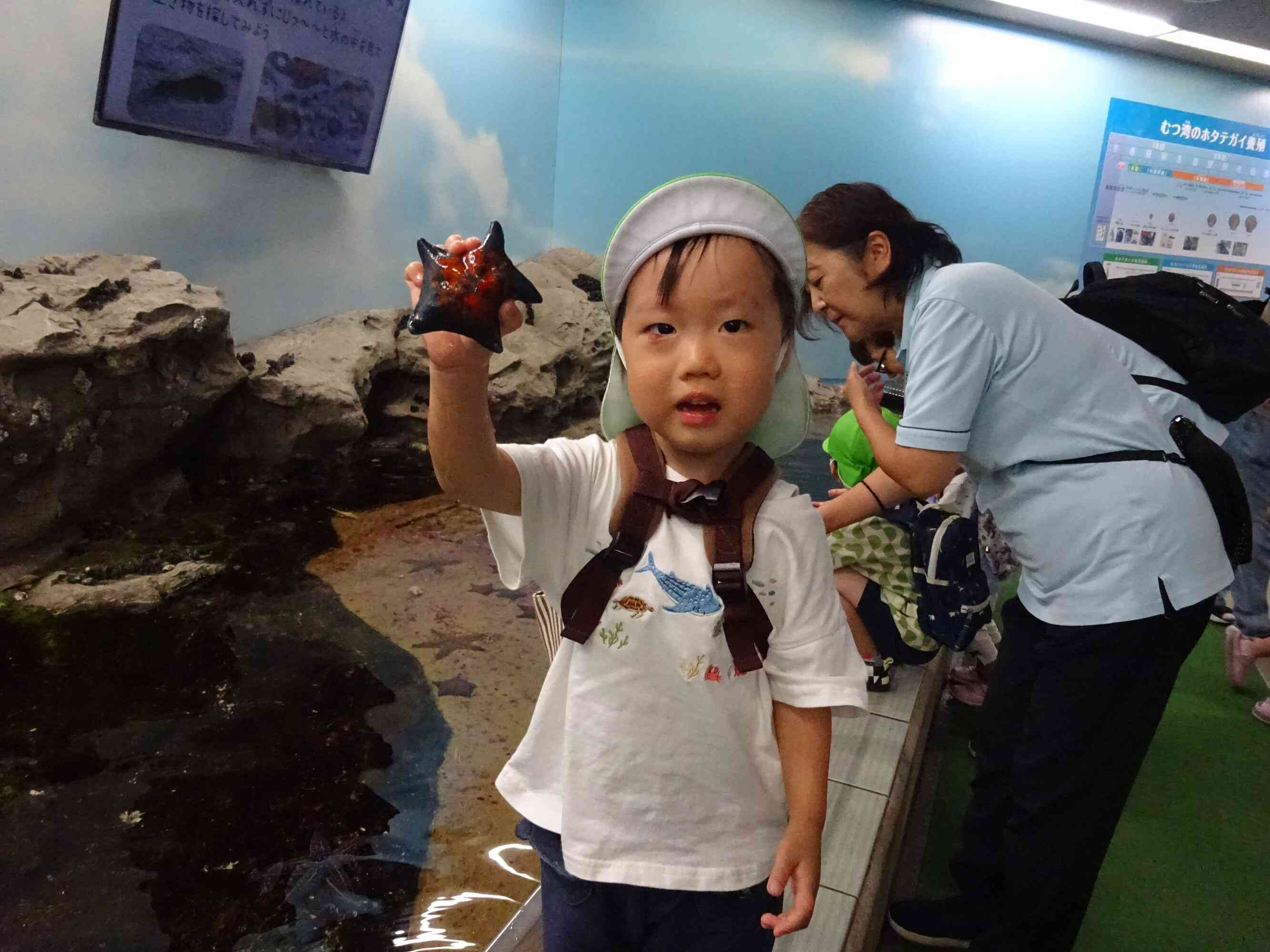 ヒトデにさわったよ