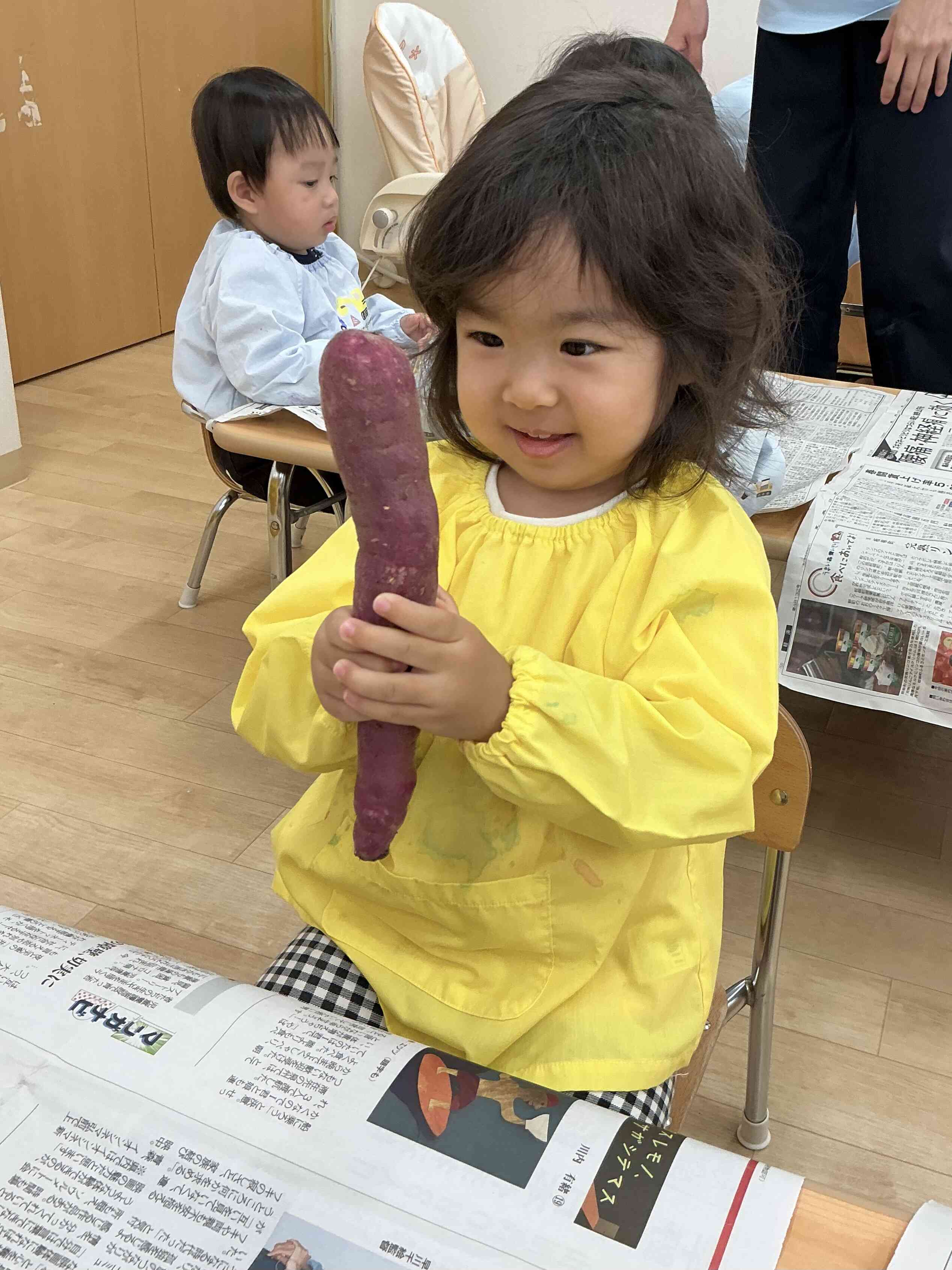 さつまいもの観察