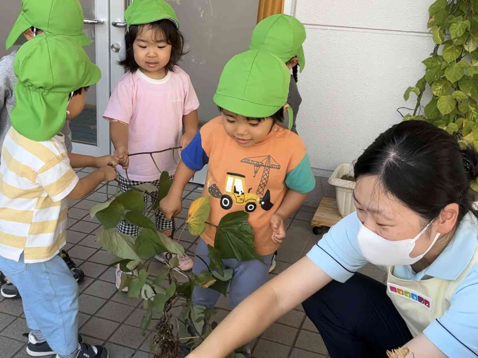 よいしょ　よいしょ