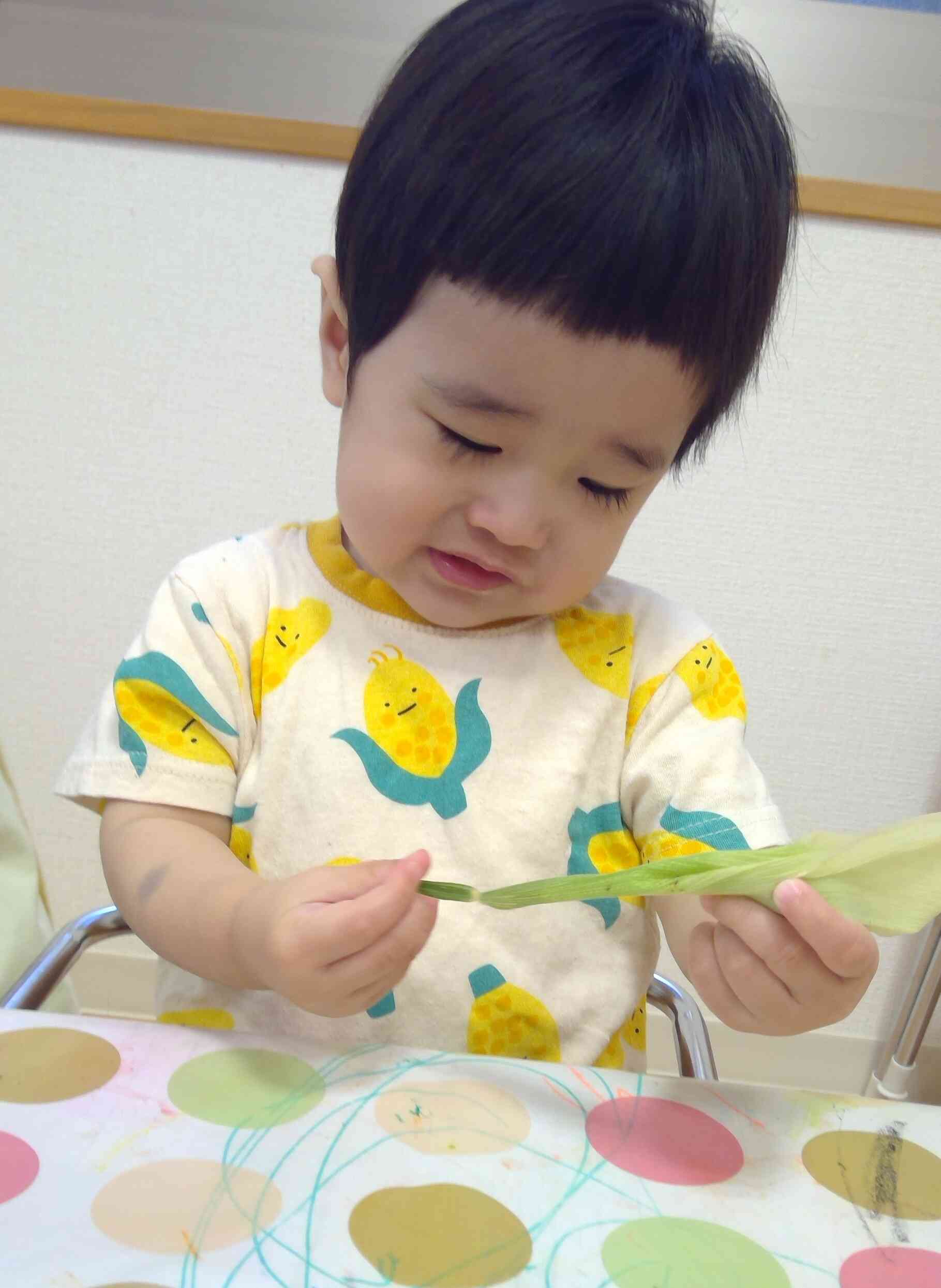 食育～とうもろこし～③