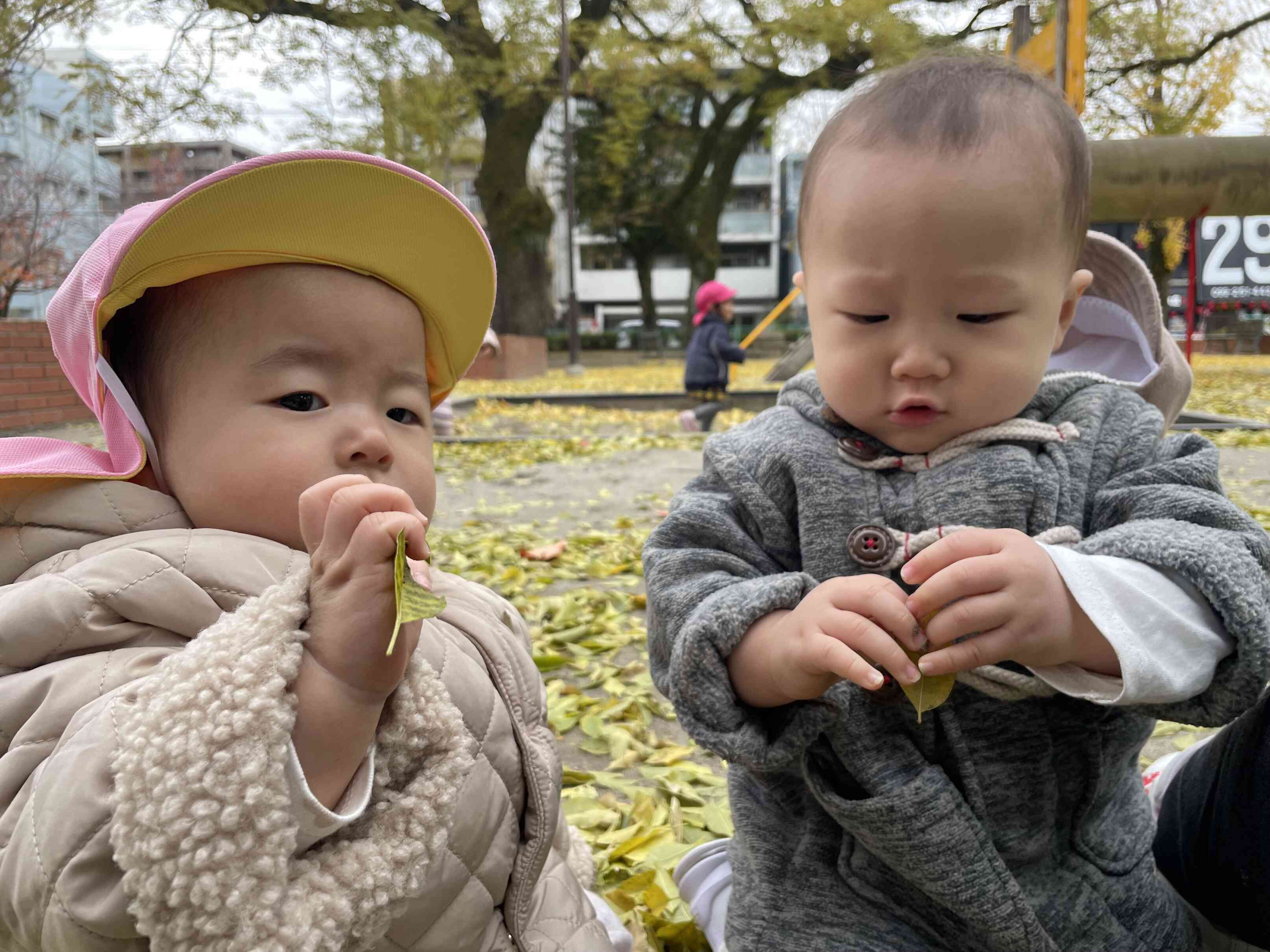 葉っぱを手でカサカサっと触って楽しみました☆