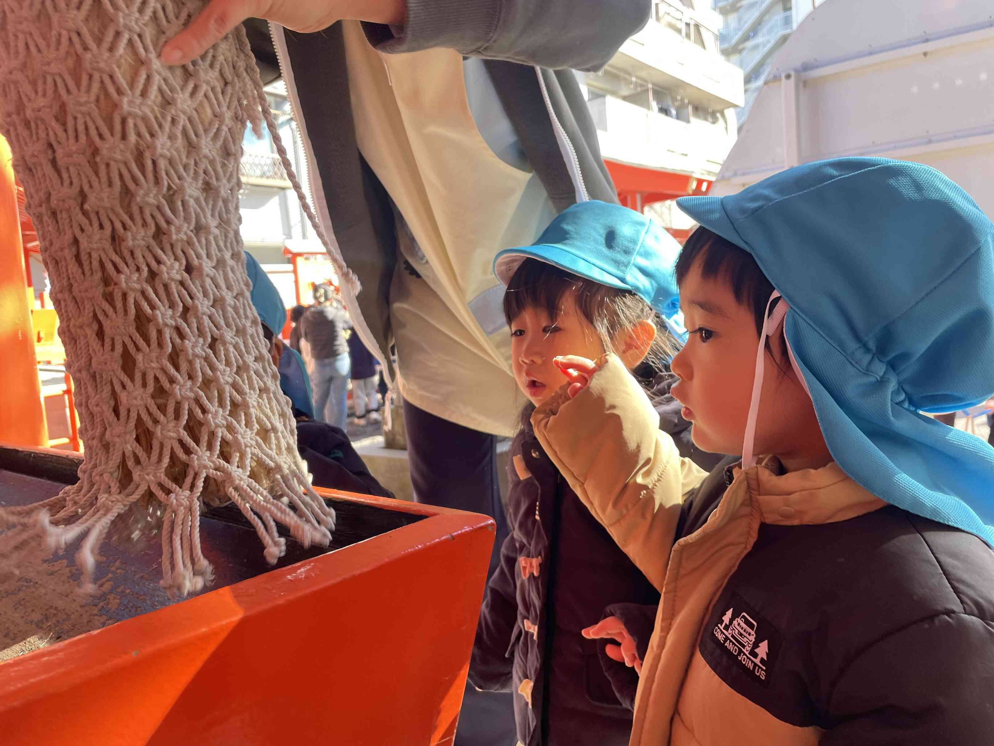 お賽銭をいれます☆中が気になるね(^^)/