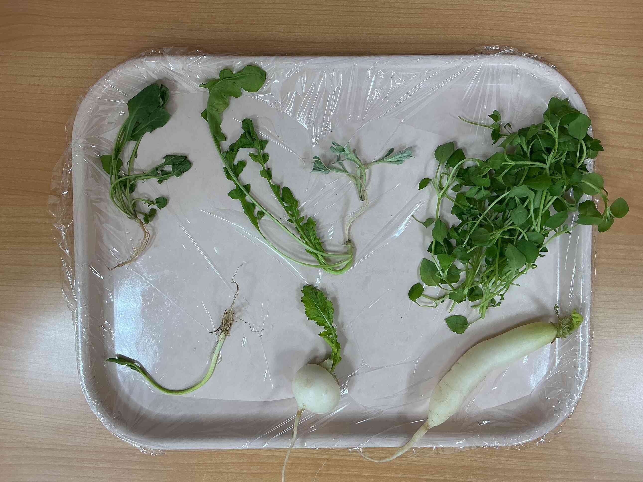 七草～食育～①