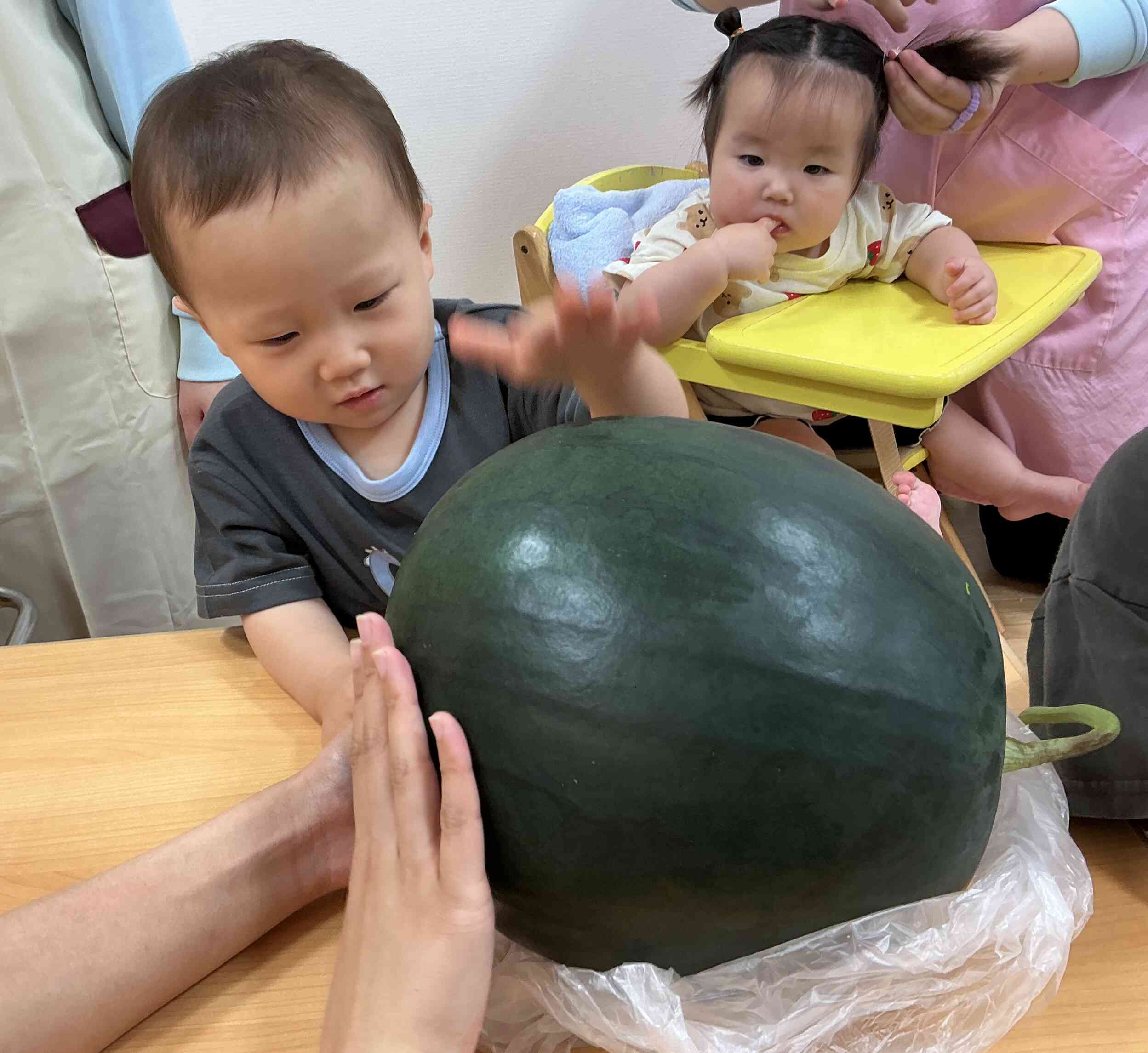 立派なスイカ☆②