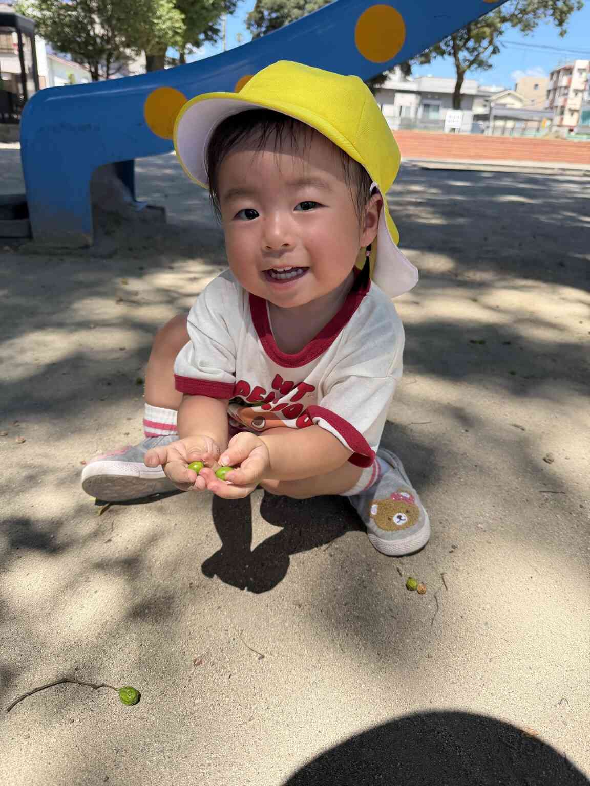 公園で木の実をみつけたよ(^^)/