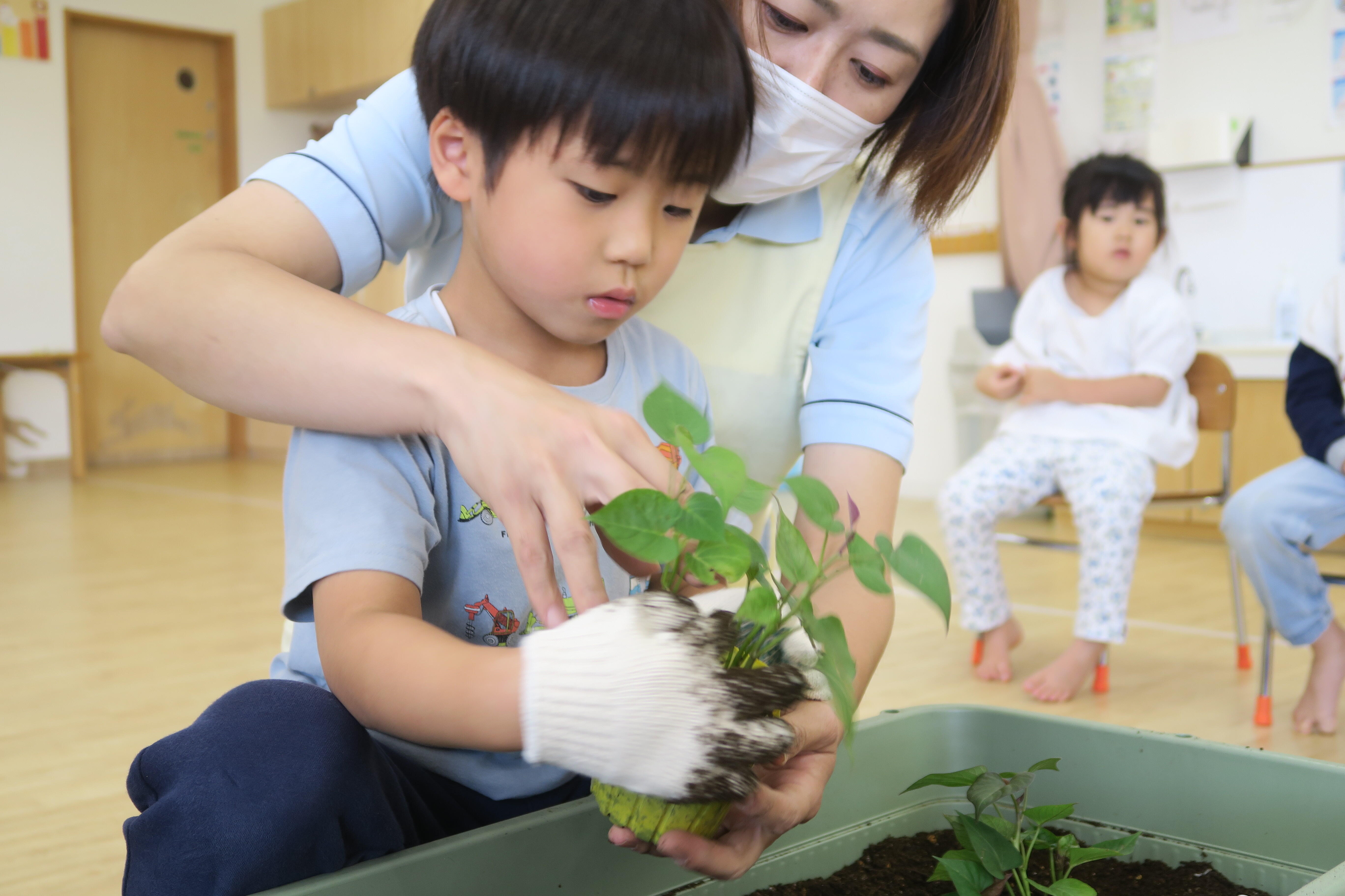 食育～野菜を育てよう！！～(以上児クラス/3歳児～5歳児）