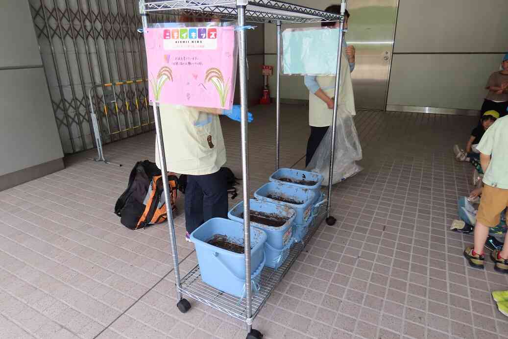 田んぼといえど・・・（すくわくプログラム）