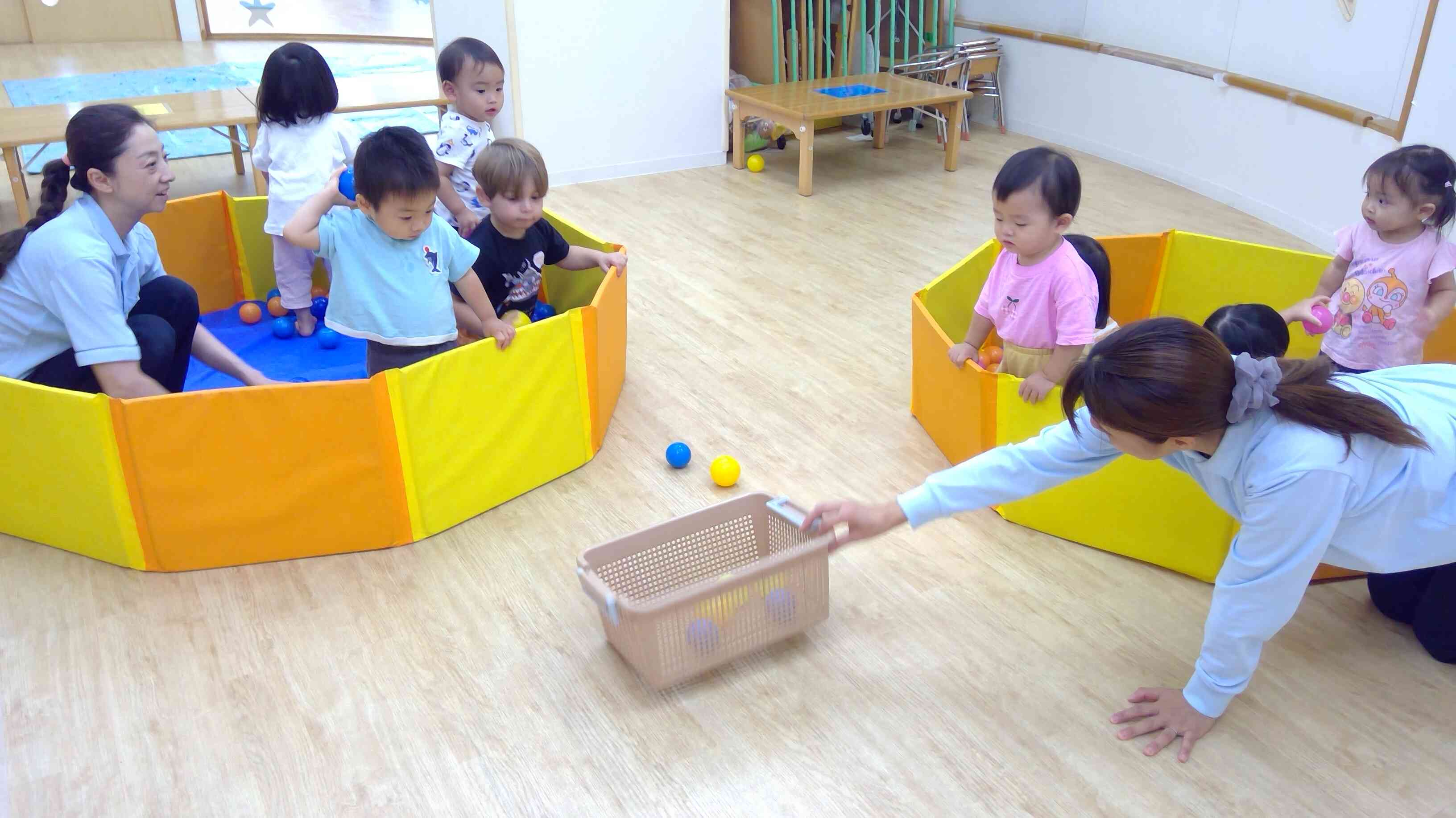 カゴに入るかな?