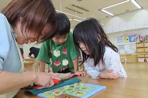 どんぐりを切って中身をみてみよう！