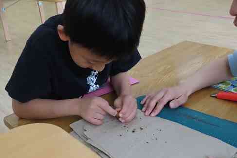 中身を見てみたいな～！！