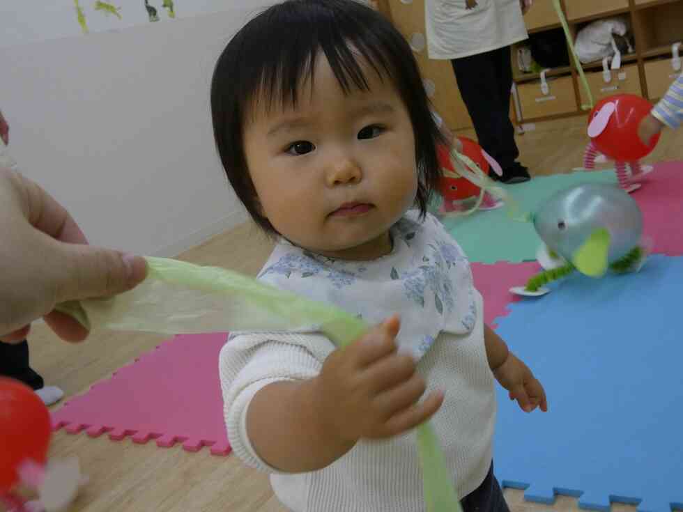 お散歩に行っています